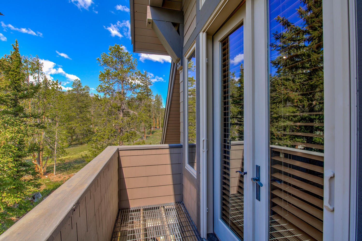 862 Penstemon ROAD