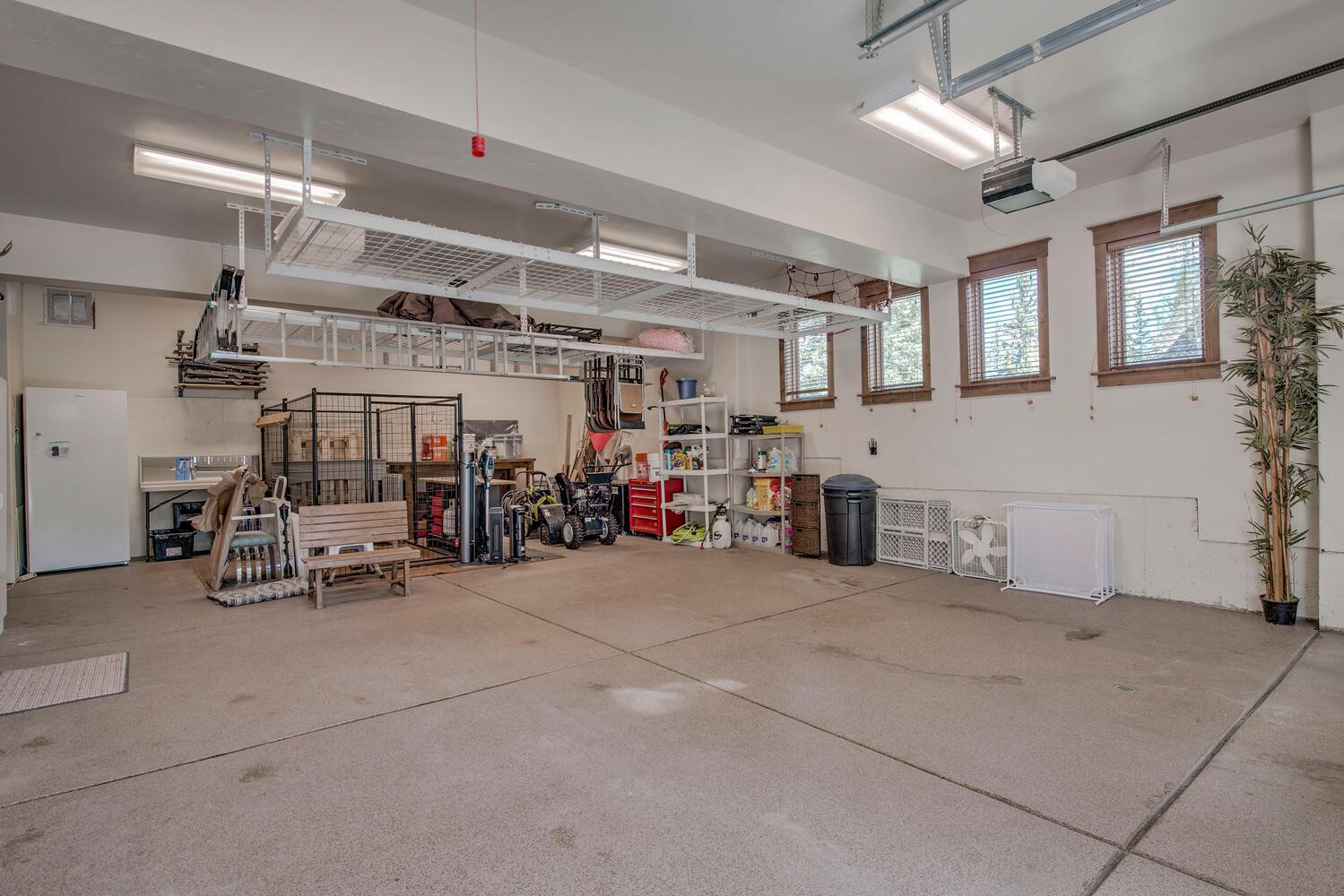 862 Penstemon ROAD