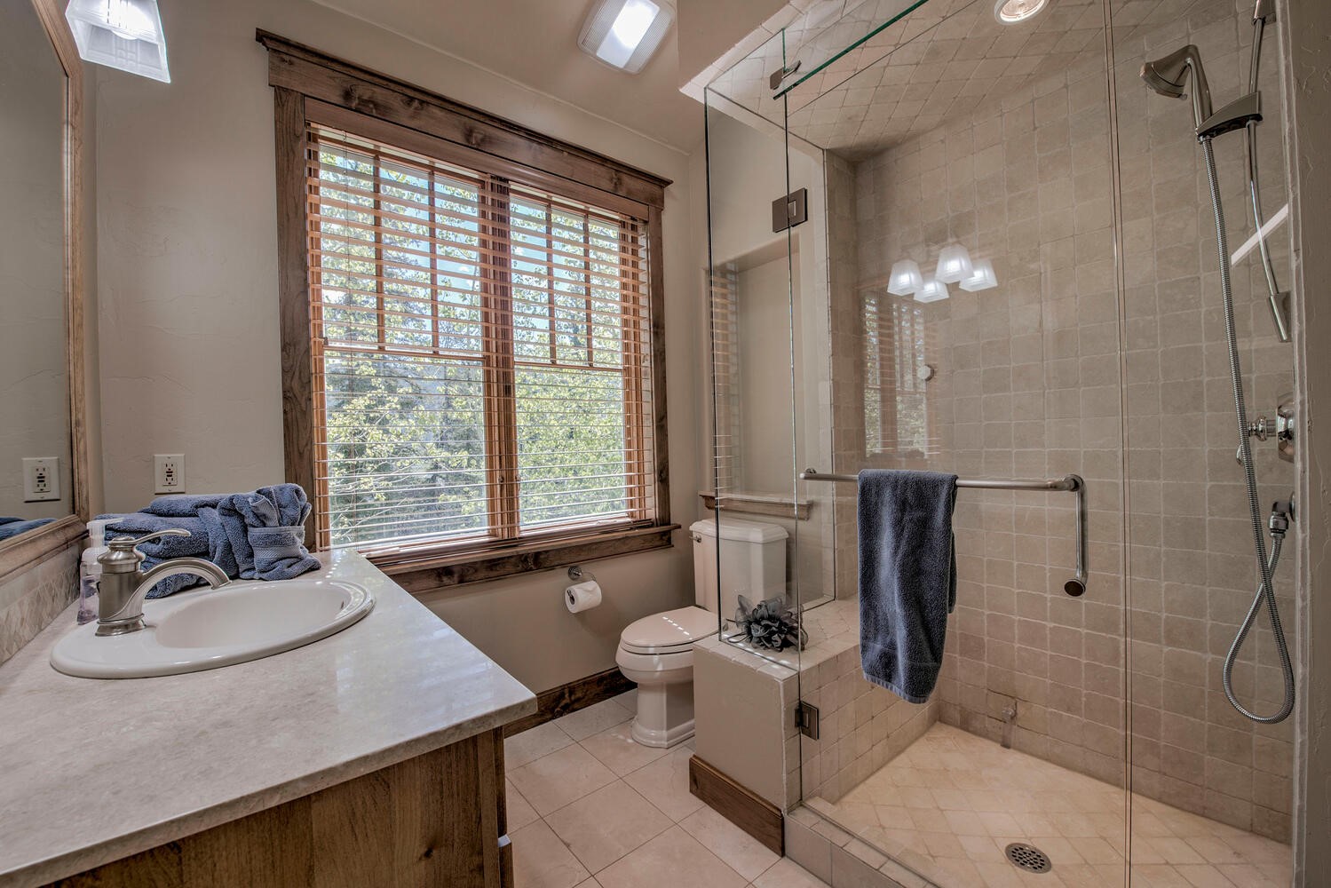 862 Penstemon ROAD