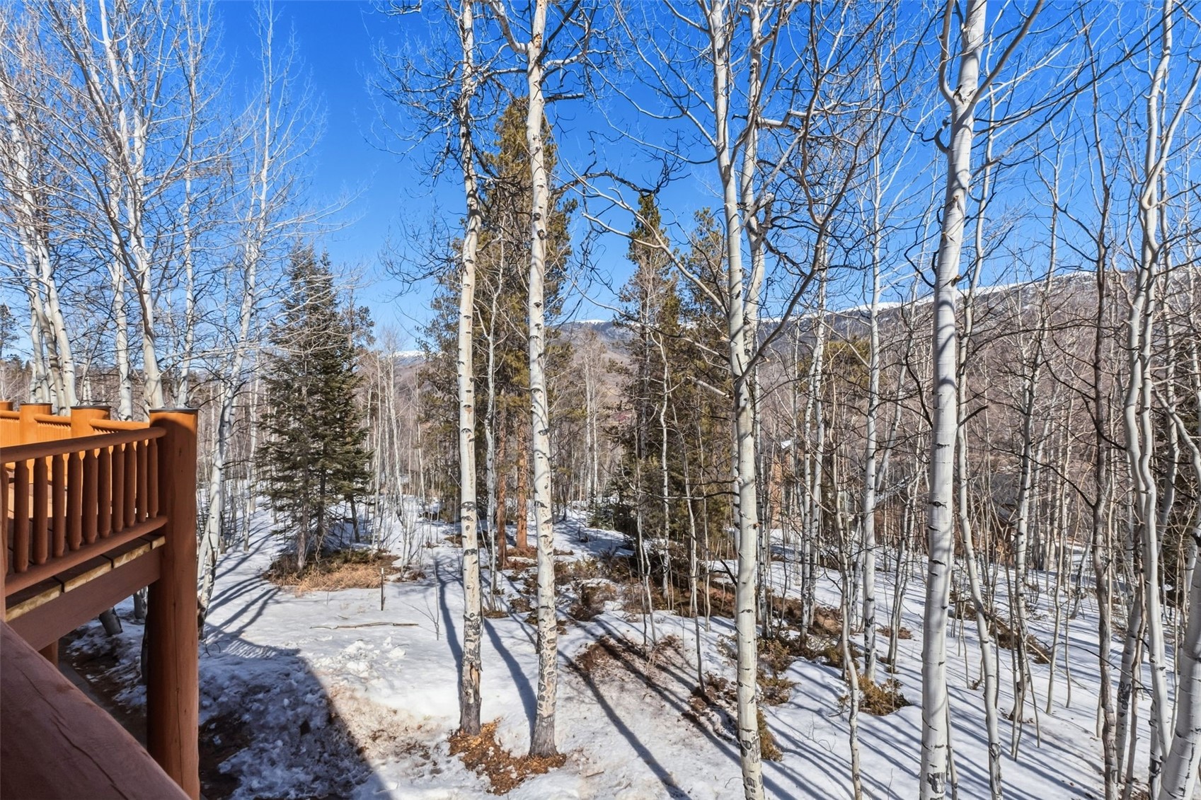 195 Easy Bend TRAIL