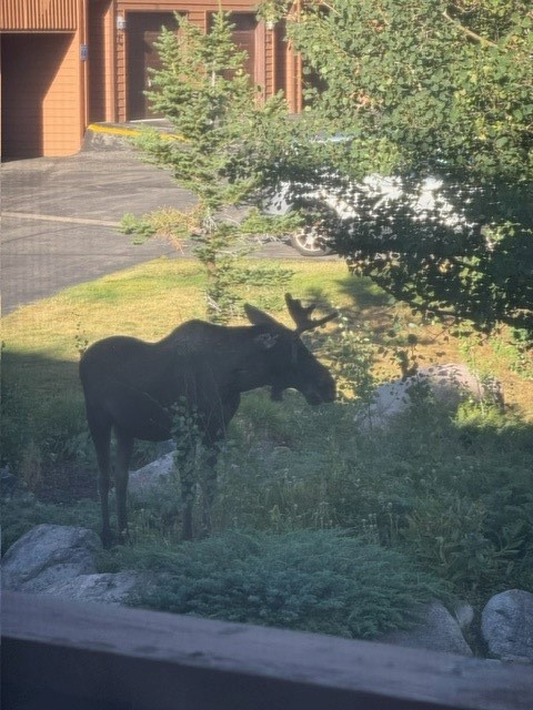 722 Meadow Creek DRIVE E