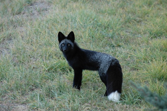 722 Meadow Creek DRIVE E