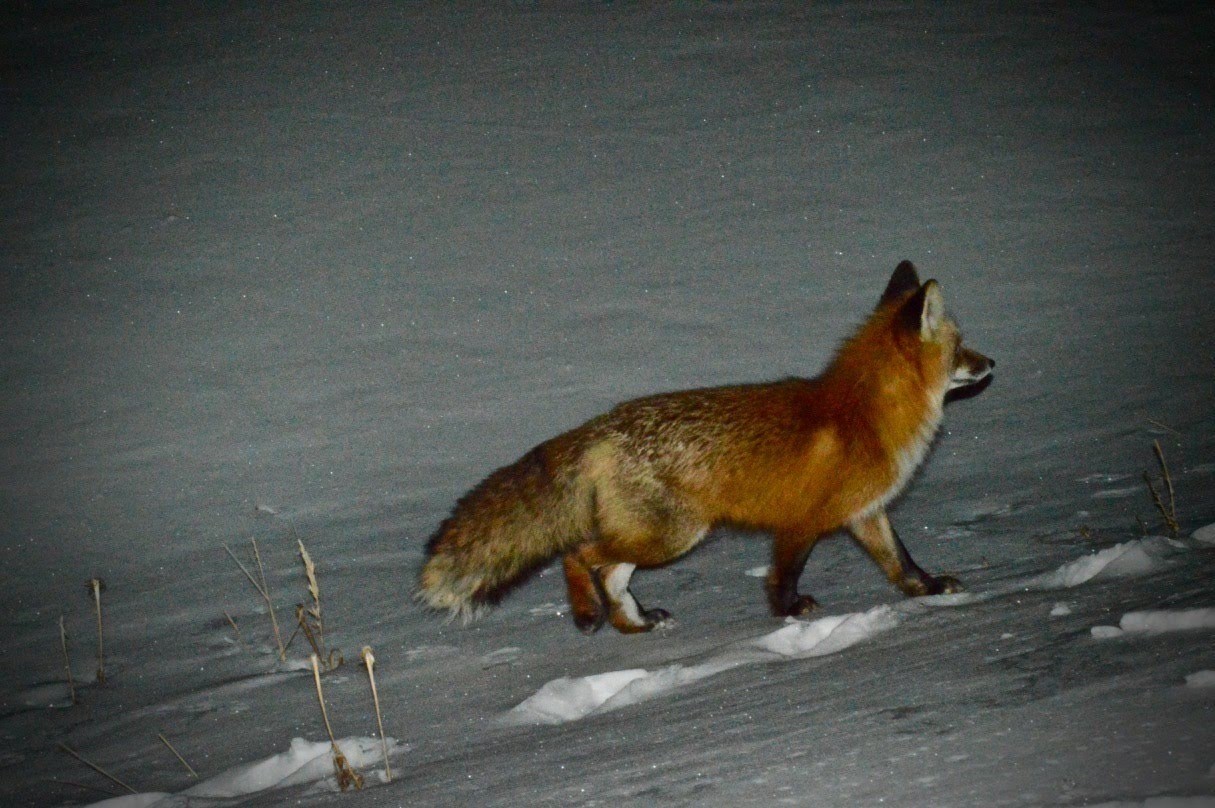 722 Meadow Creek DRIVE E