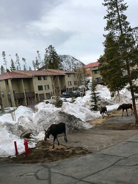 722 Meadow Creek DRIVE E