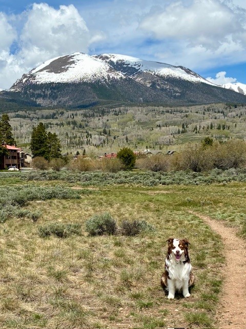 722 Meadow Creek DRIVE E