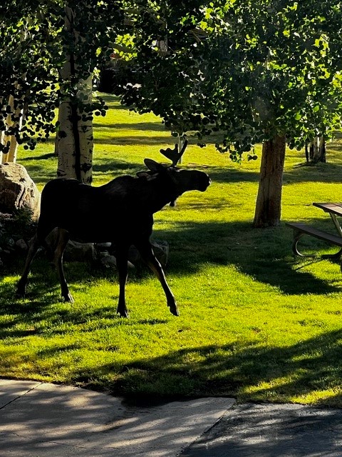 722 Meadow Creek DRIVE E