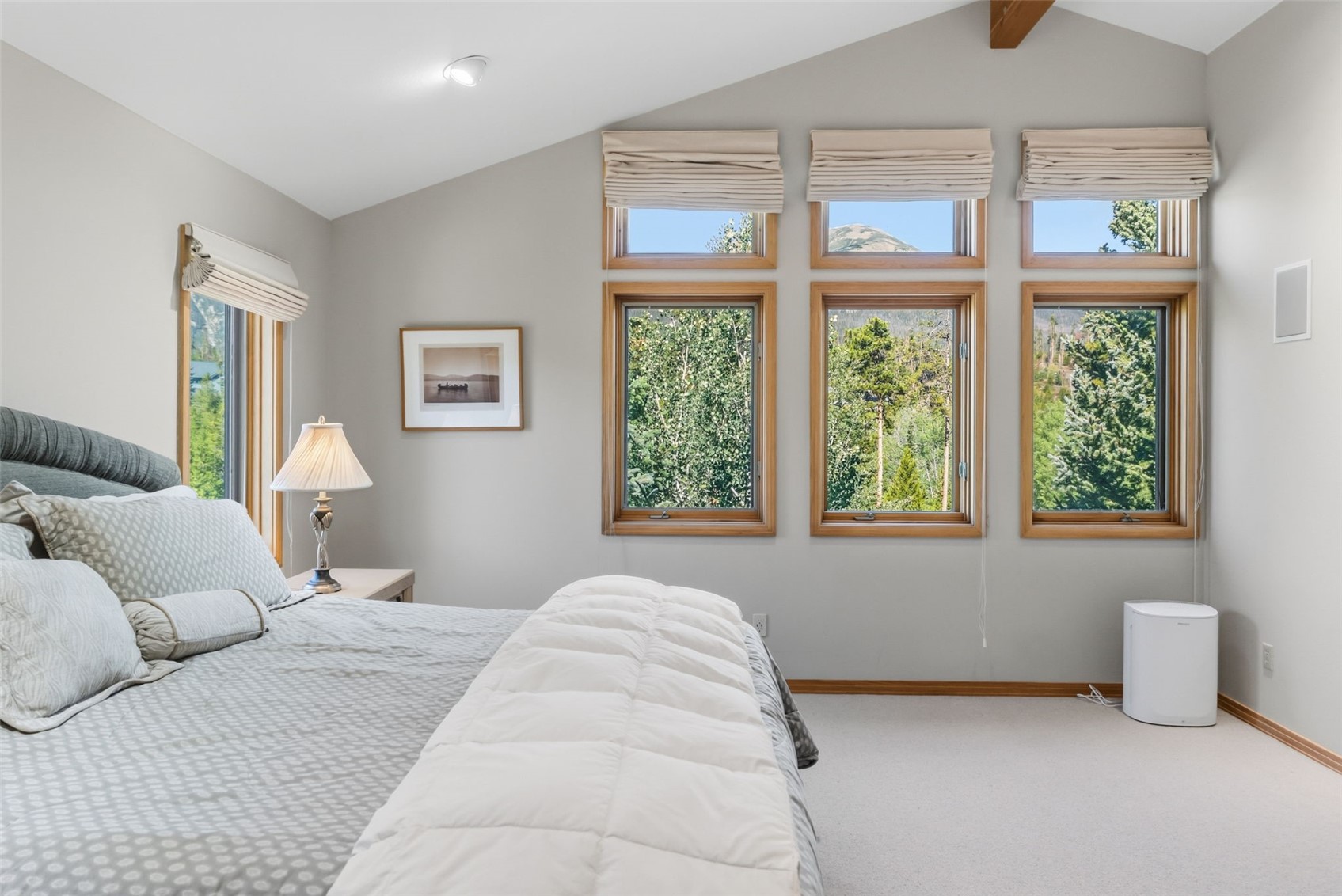 1165 Emerald ROAD