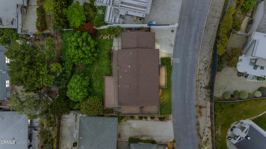 391 Lupine Way