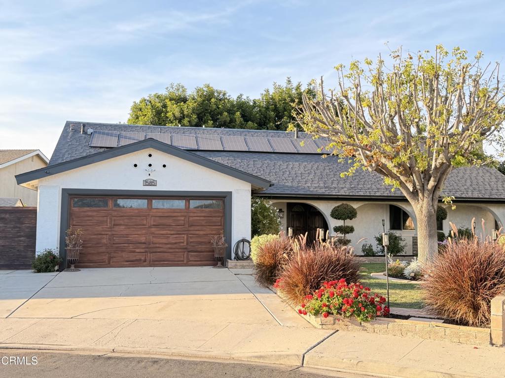 1585 Cipres Court