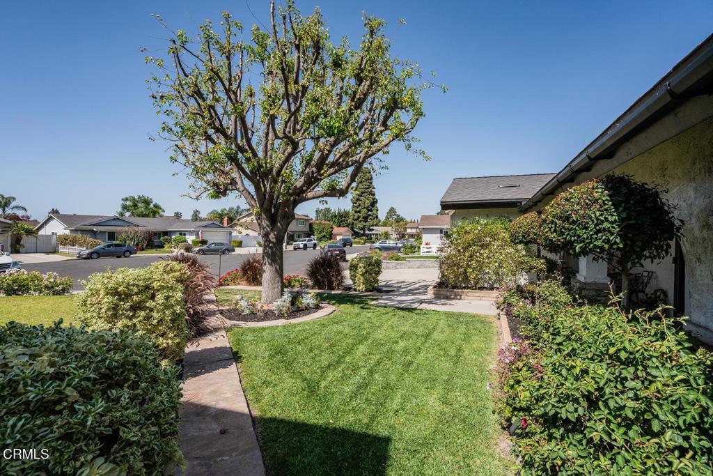 1585 Cipres Court