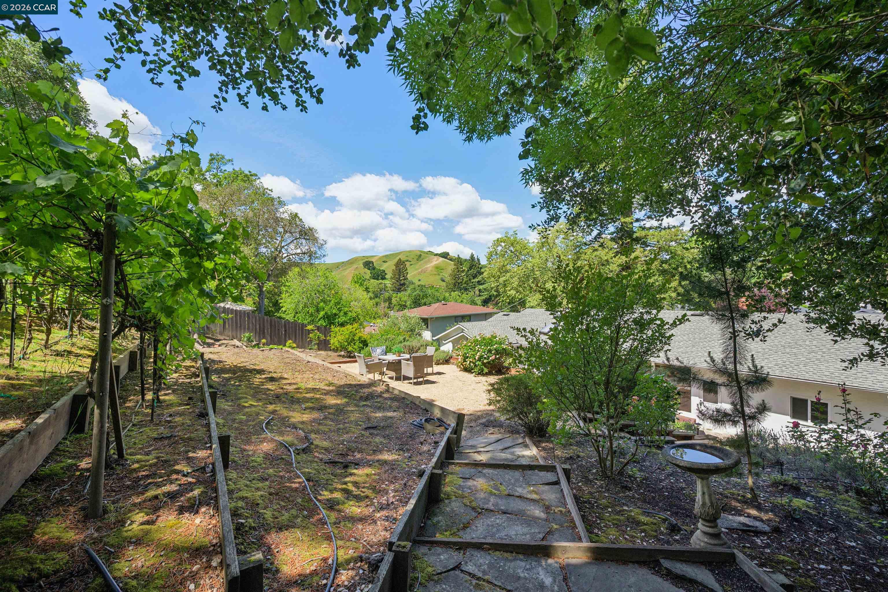 3231 Camino Colorados