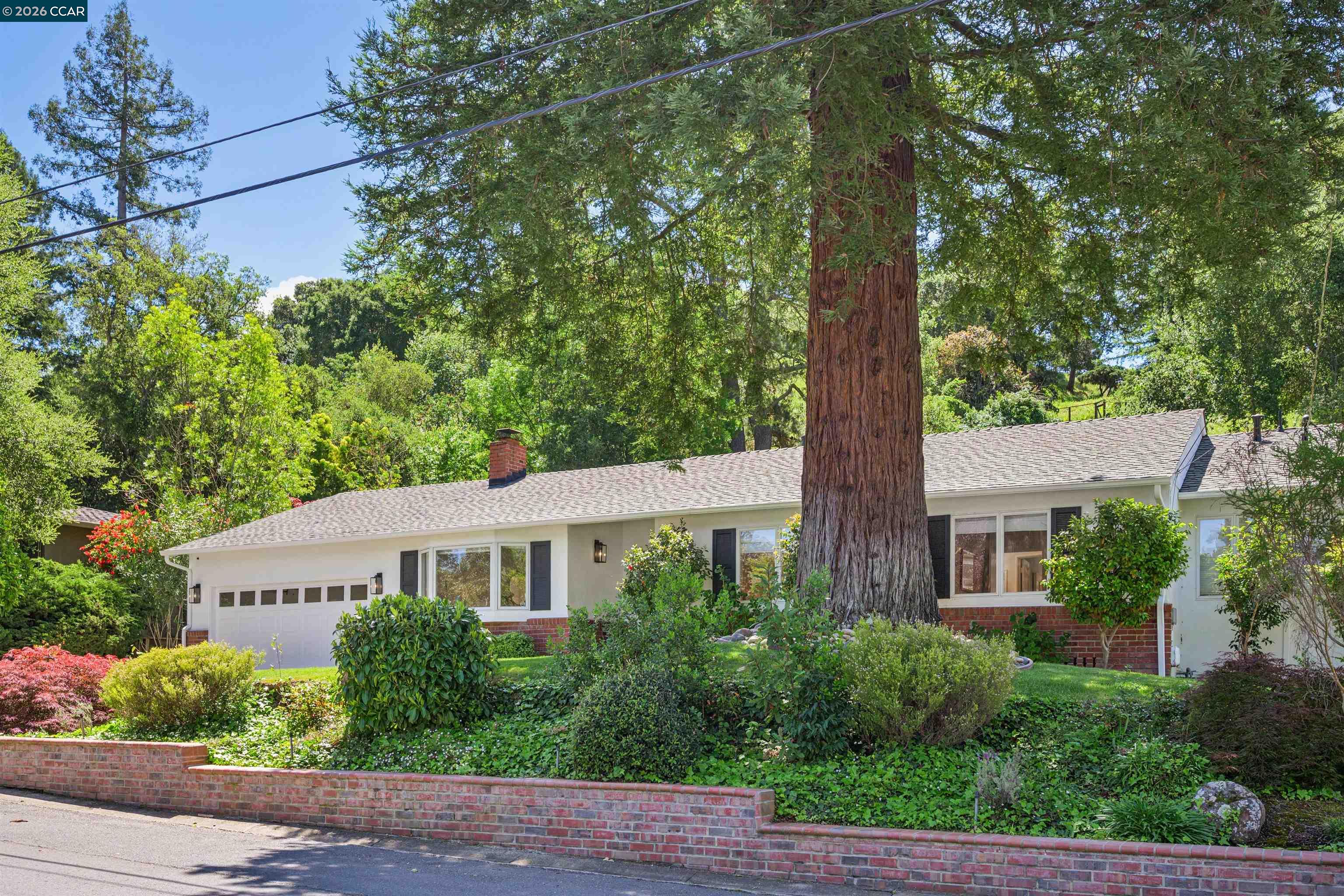 3231 Camino Colorados