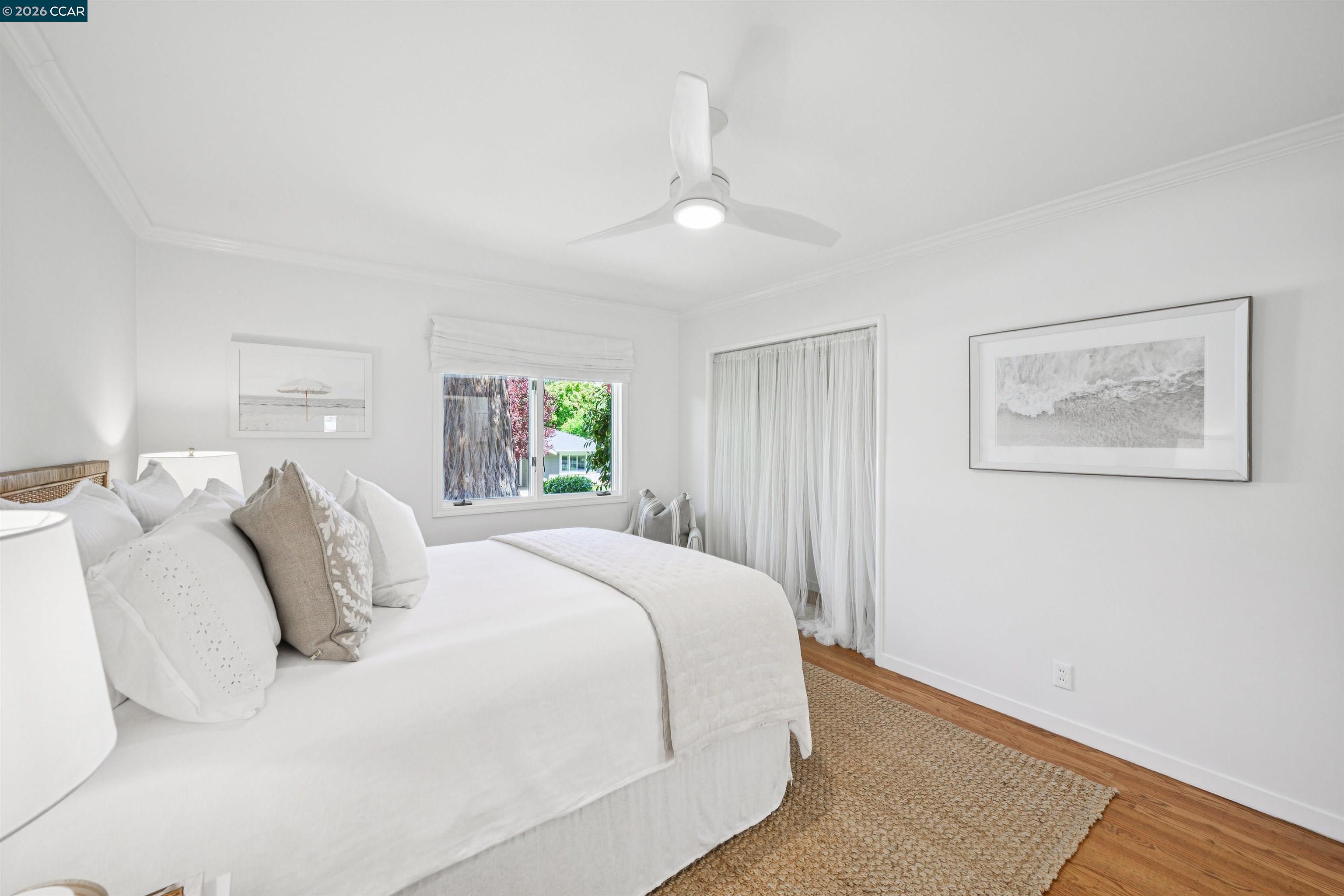 3231 Camino Colorados