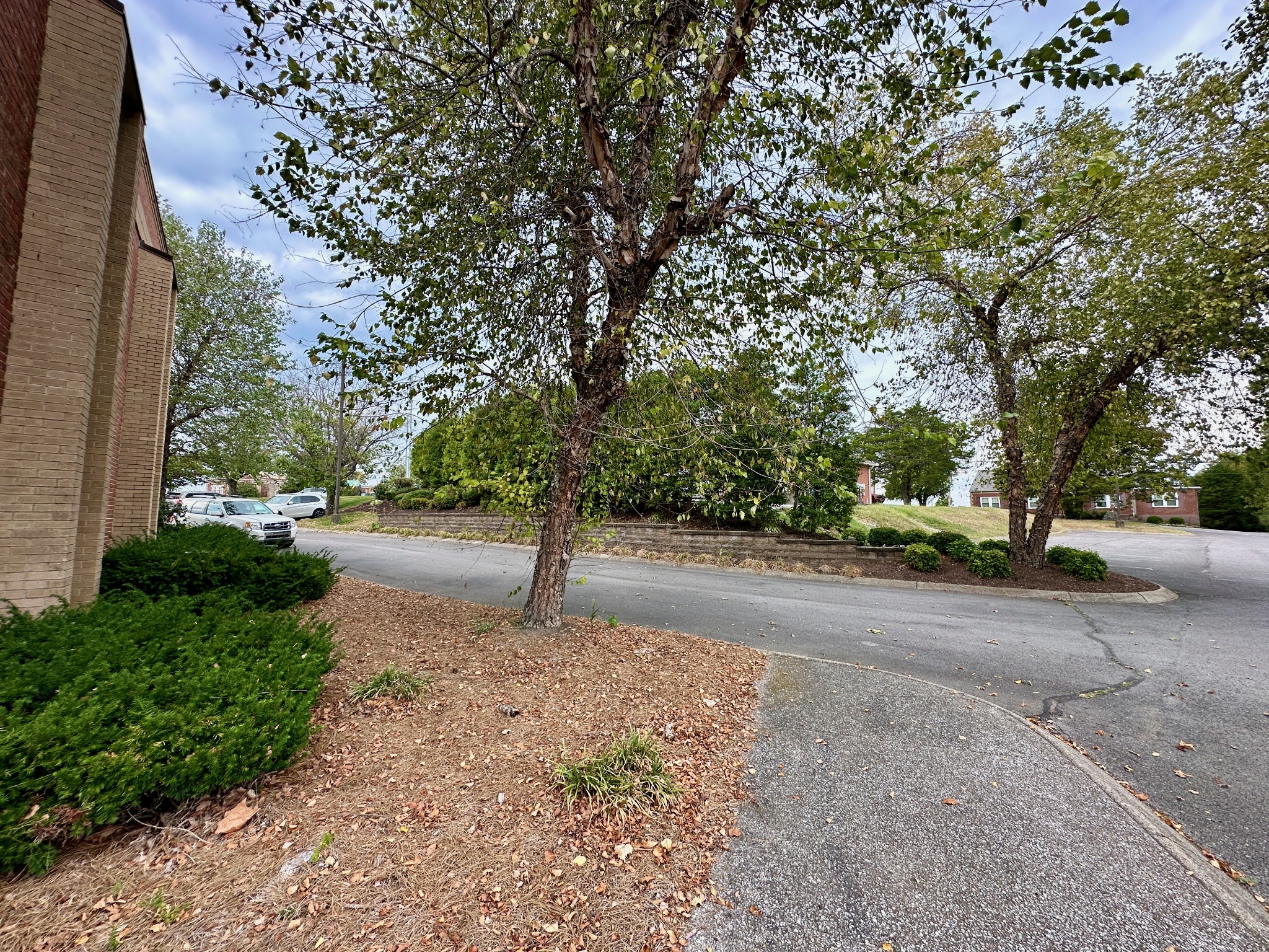 102 Castle Heights Blvd