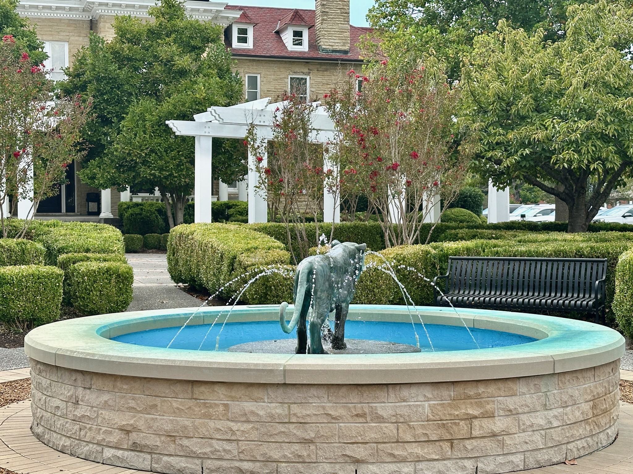 102 Castle Heights Blvd