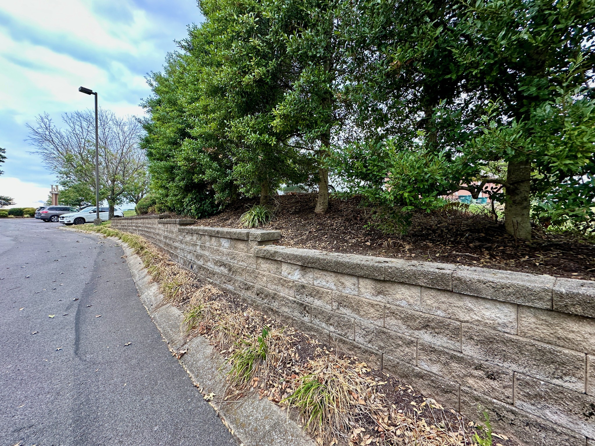 102 Castle Heights Blvd