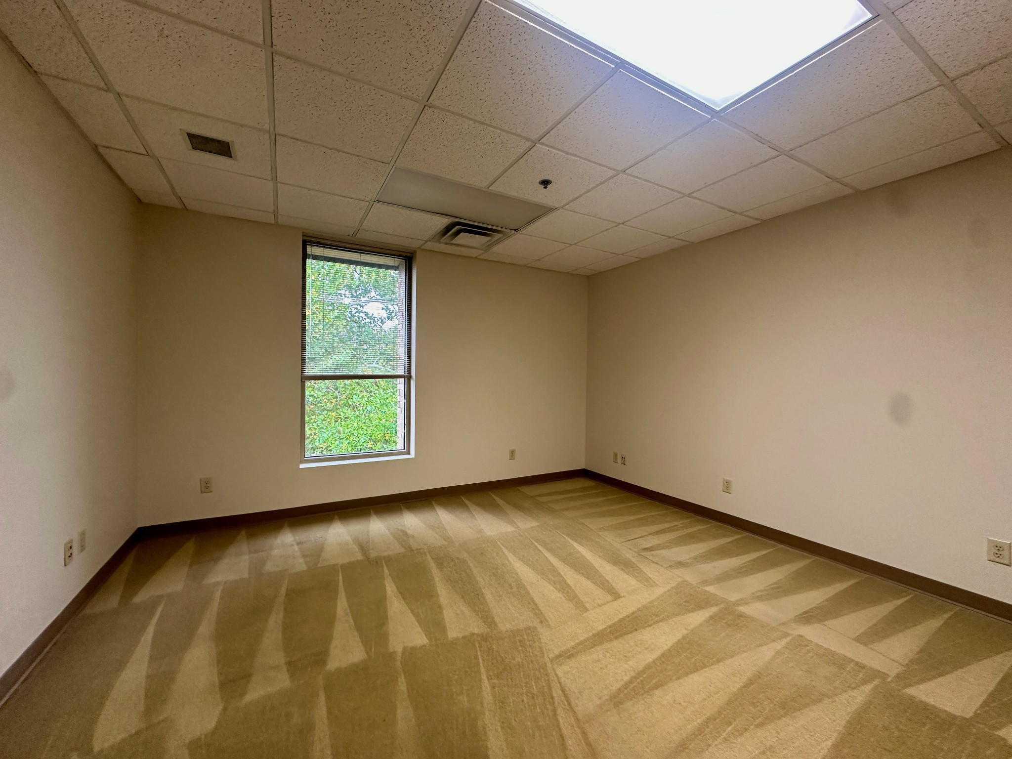 204 Castle Heights Blvd