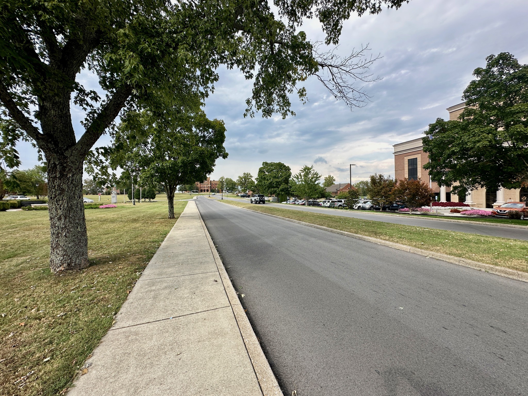 204 Castle Heights Blvd