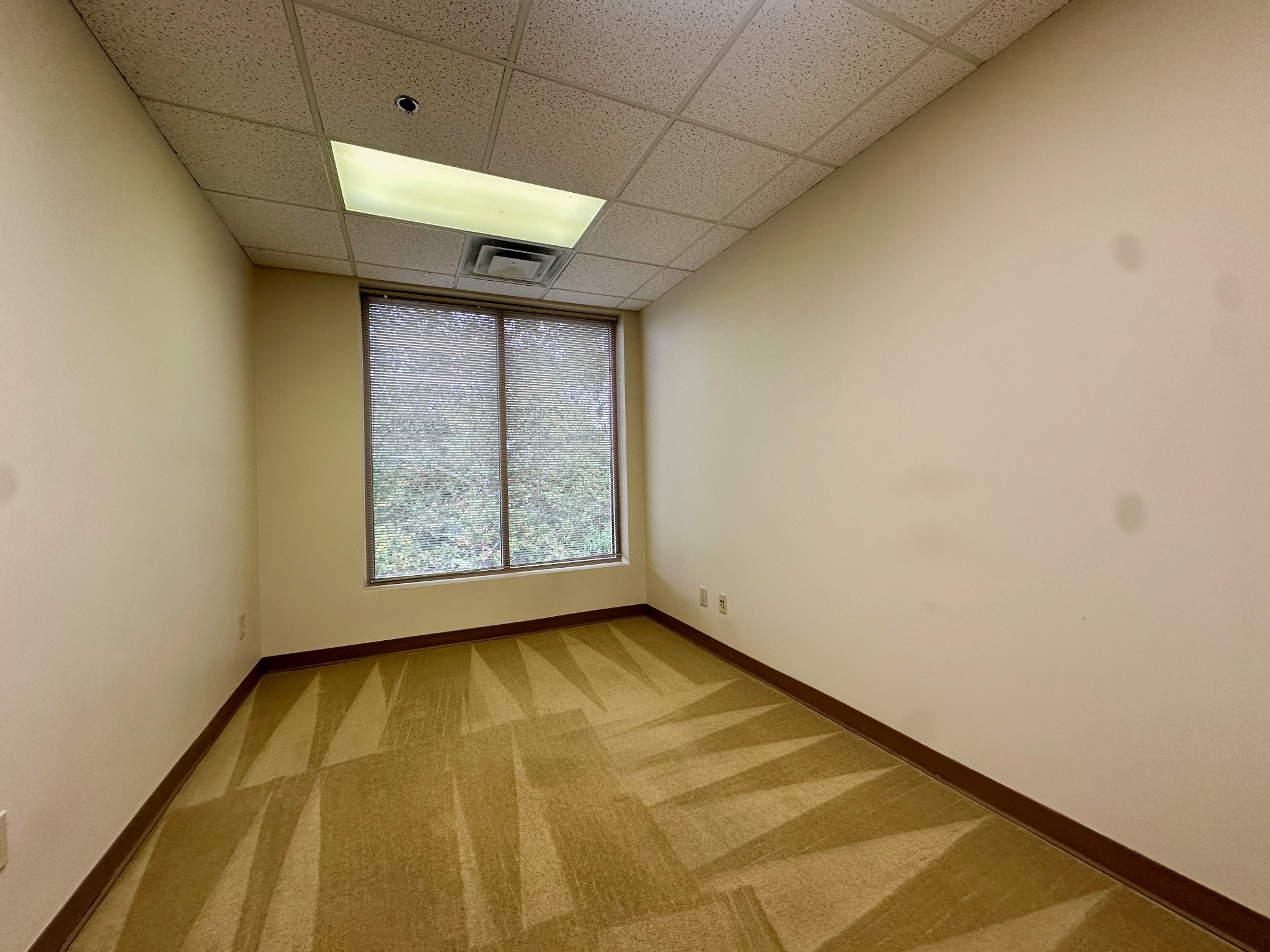 204 Castle Heights Blvd