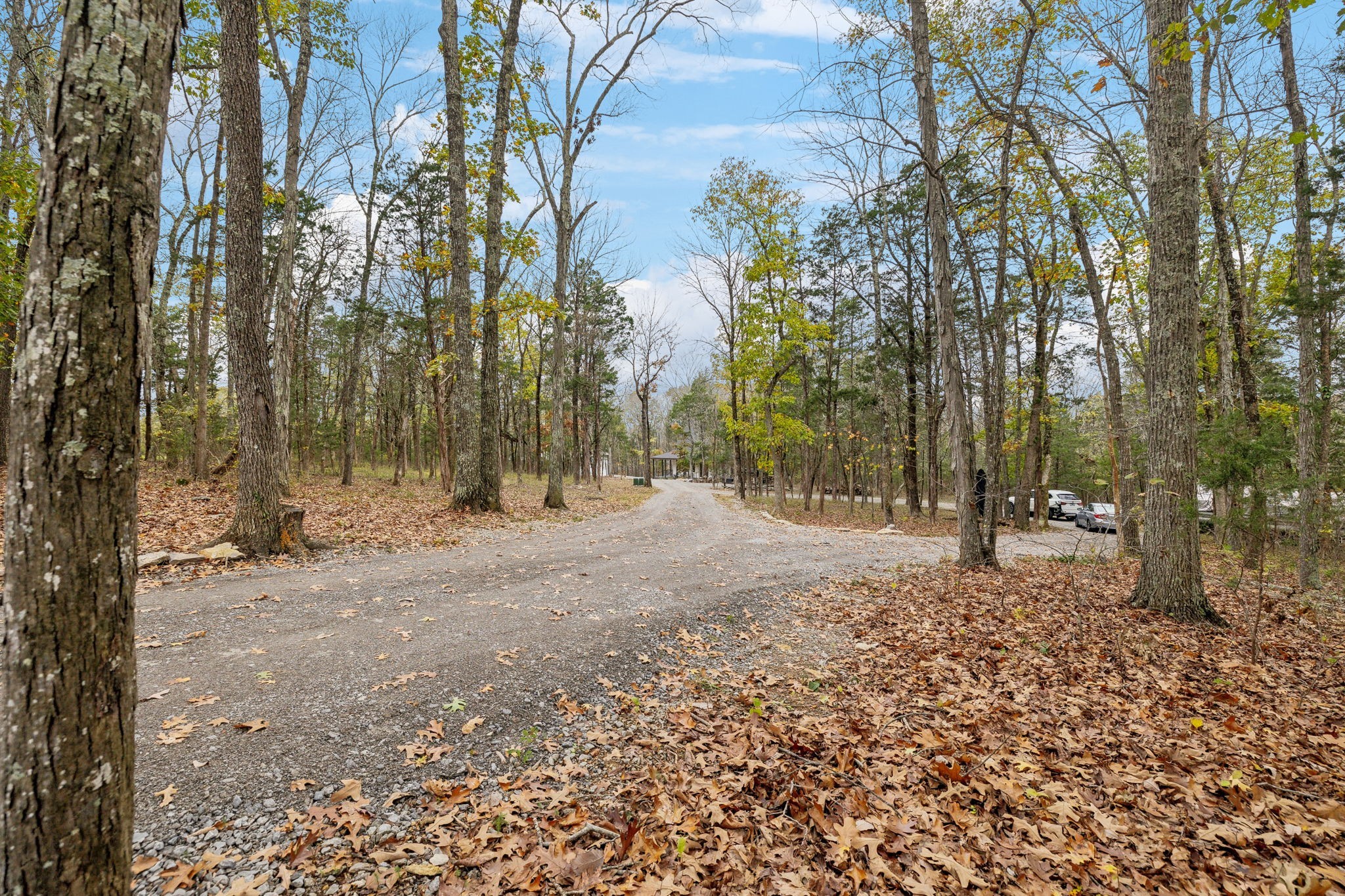 8615 Couchville Pike