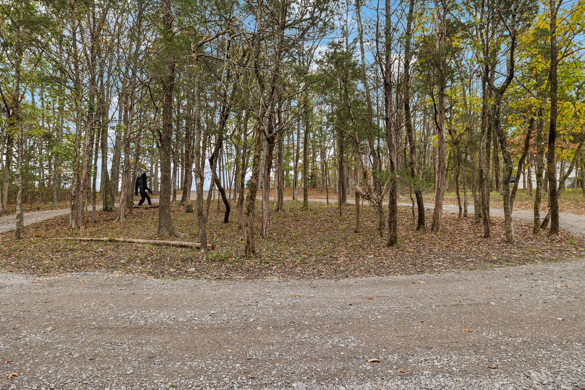 8615 Couchville Pike