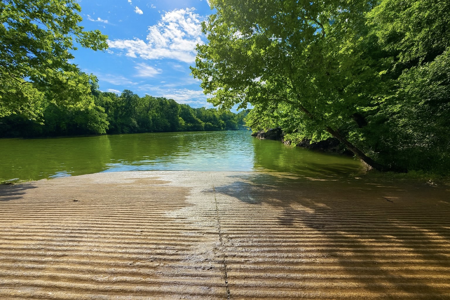 114 Falling Branch Ct