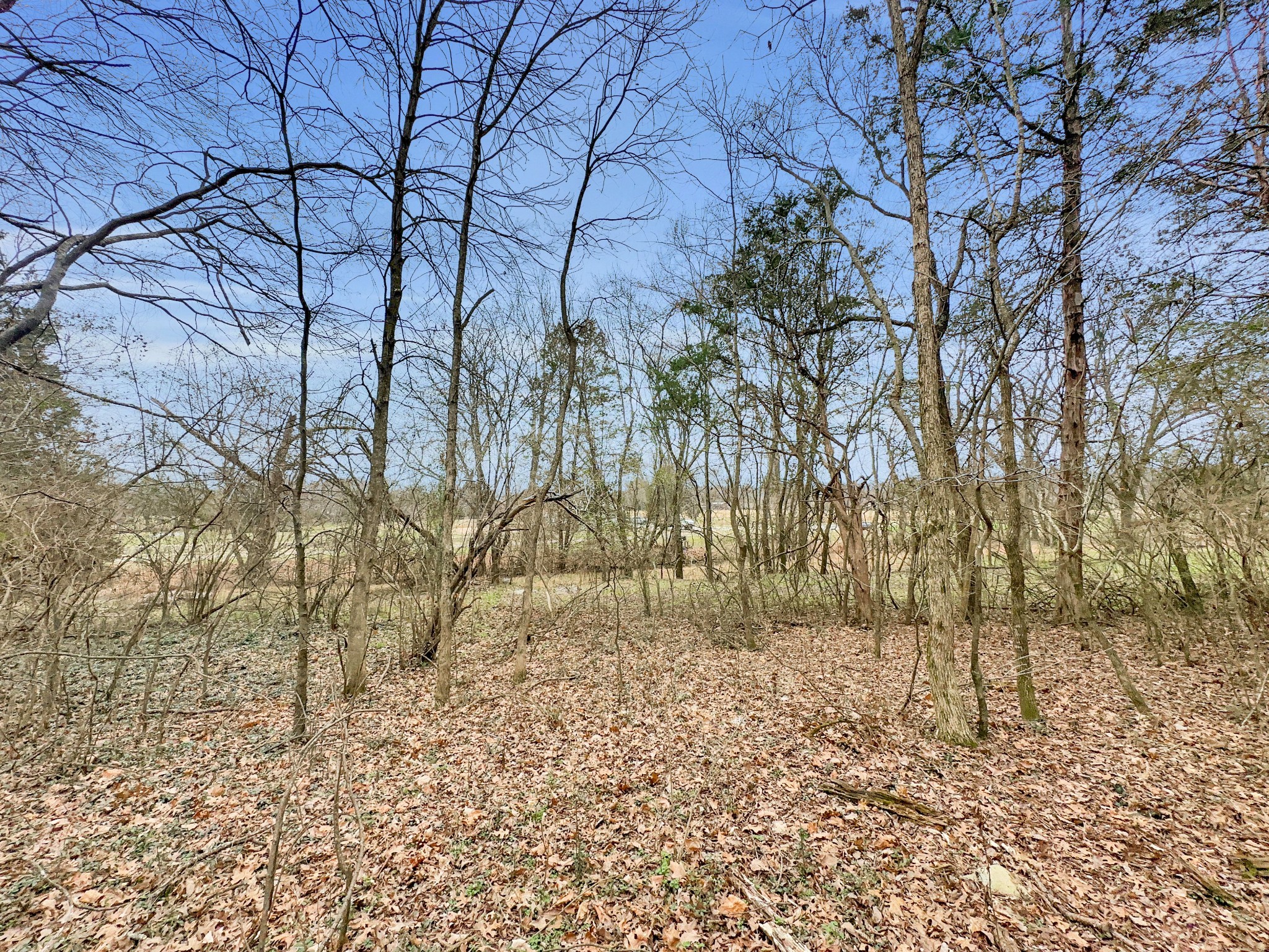 1430 Powell Grove Rd