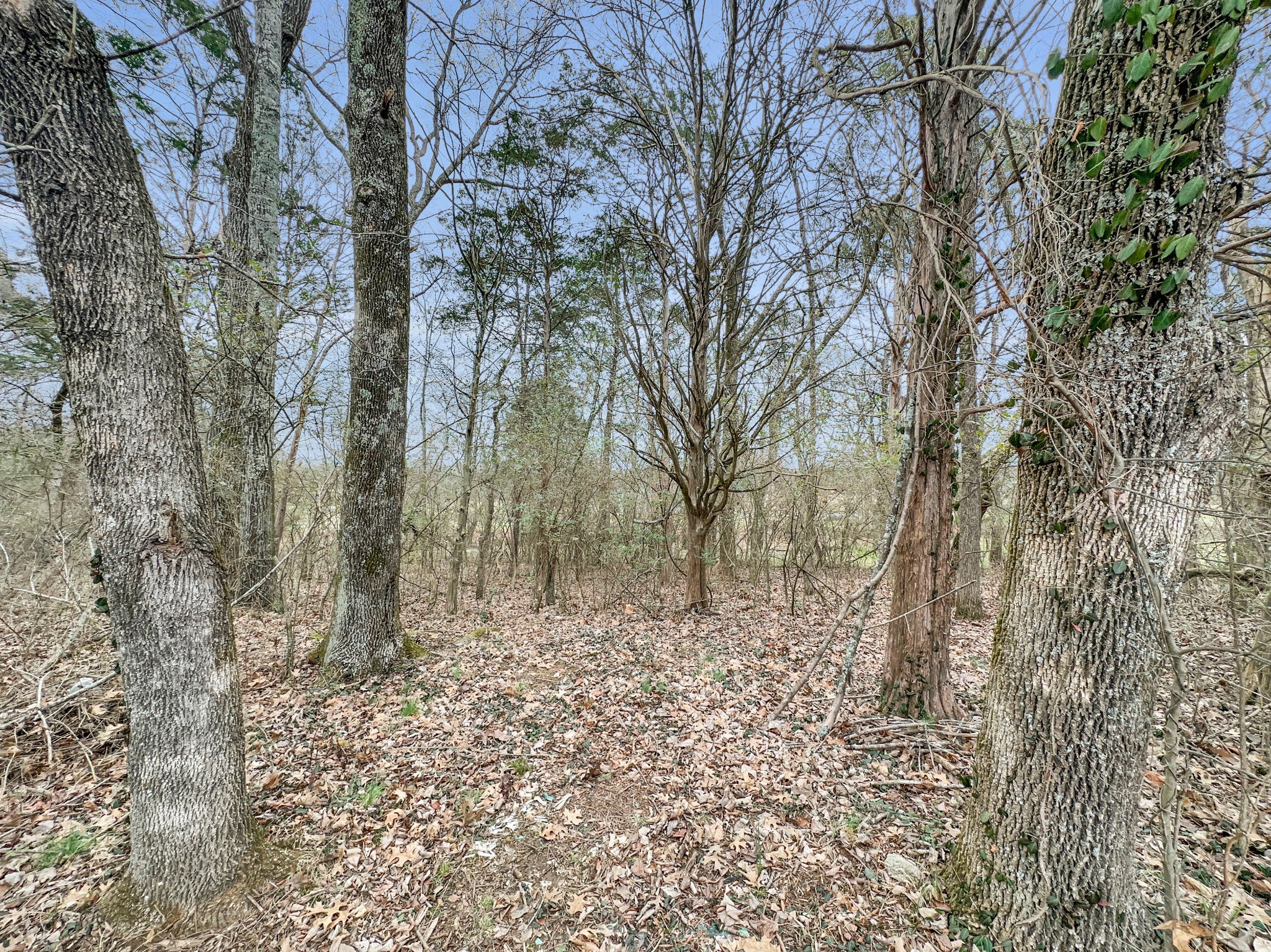 1430 Powell Grove Rd