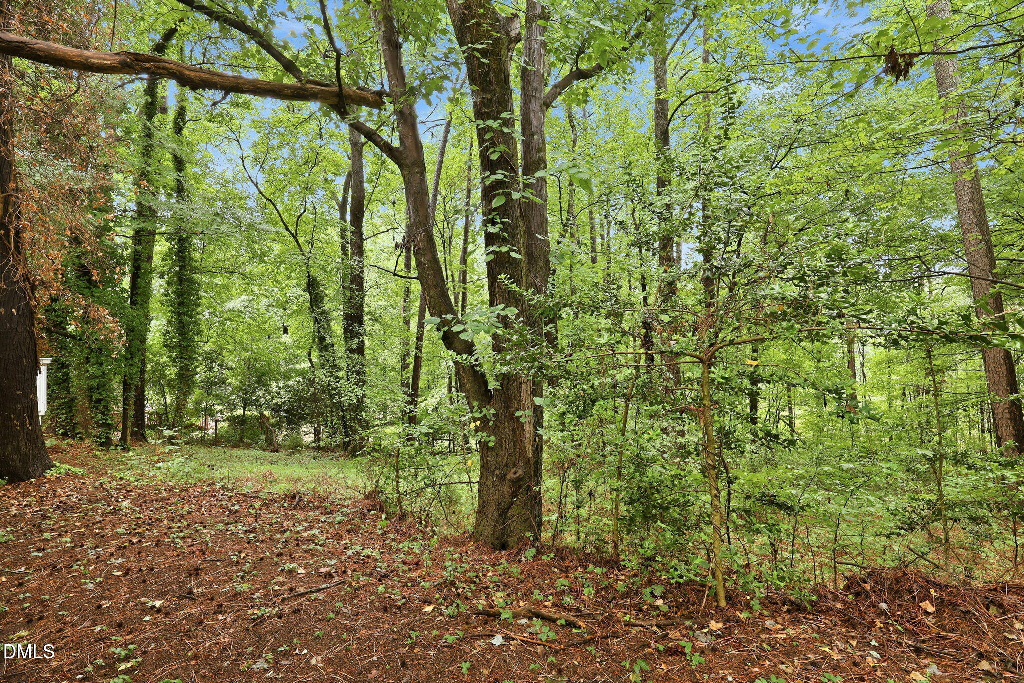 11413 Norwood Road