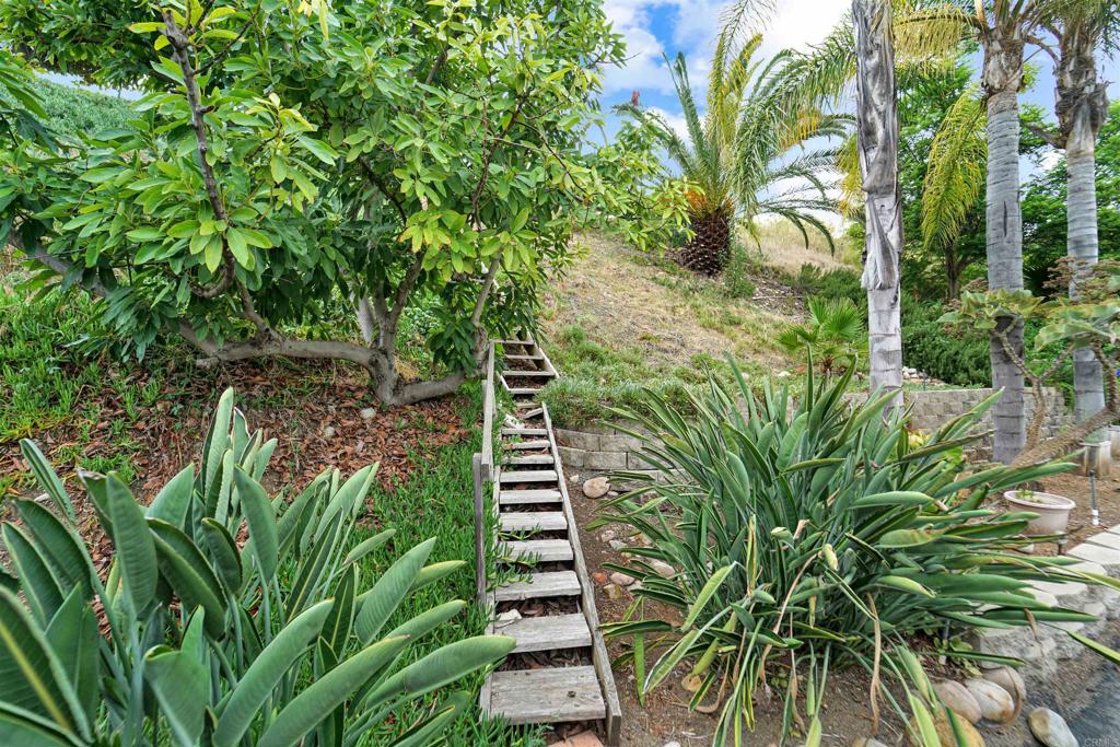 1516 Avenida Ladera