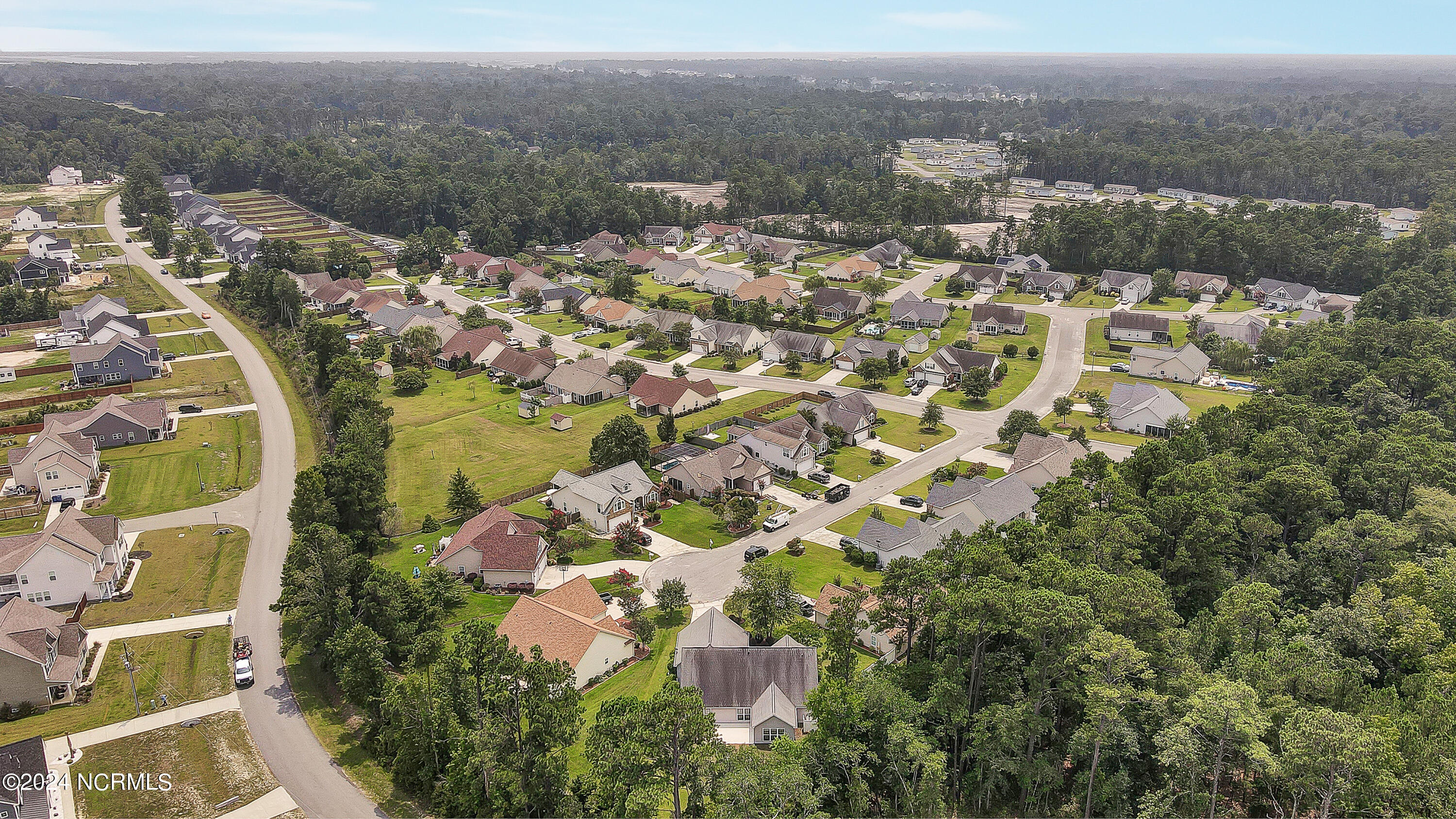 109 Bristle Cone Court