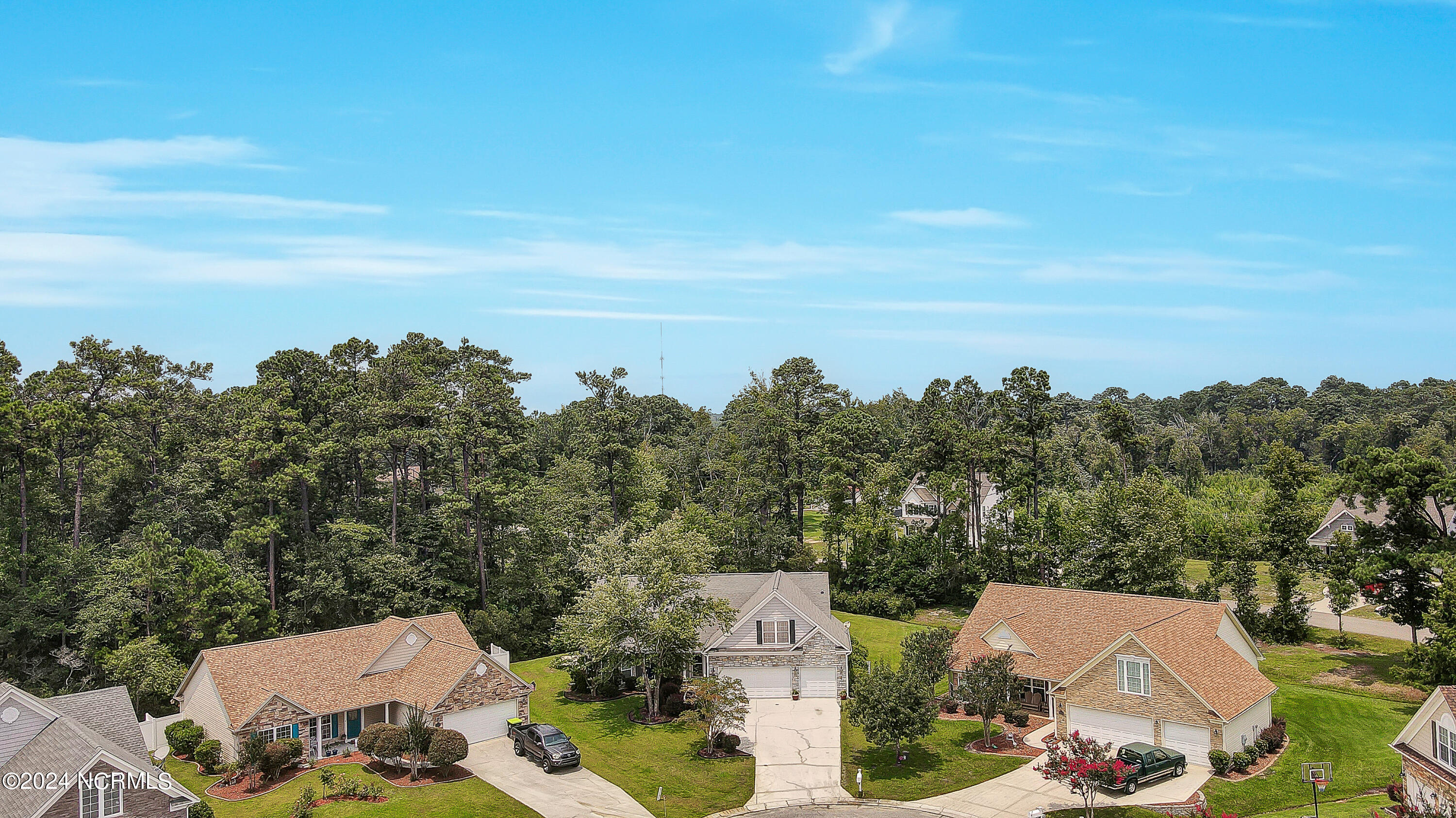109 Bristle Cone Court