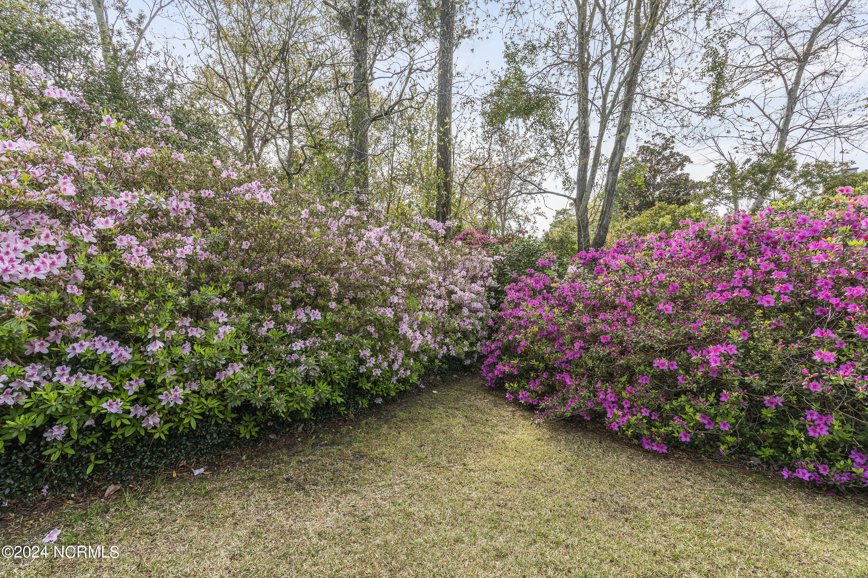 4716 Archer Drive