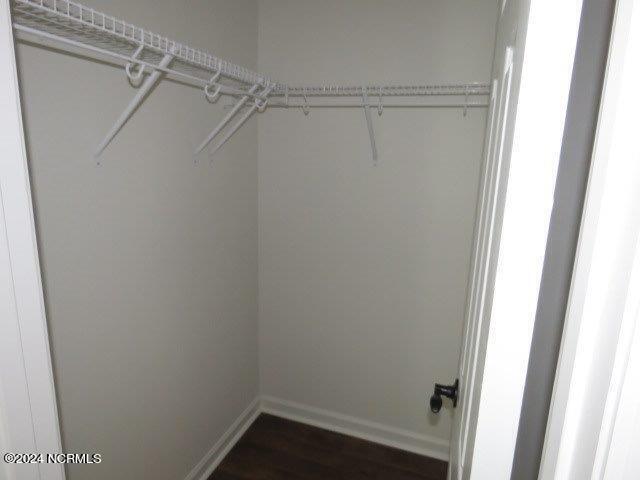 3315 Needle Rush Court