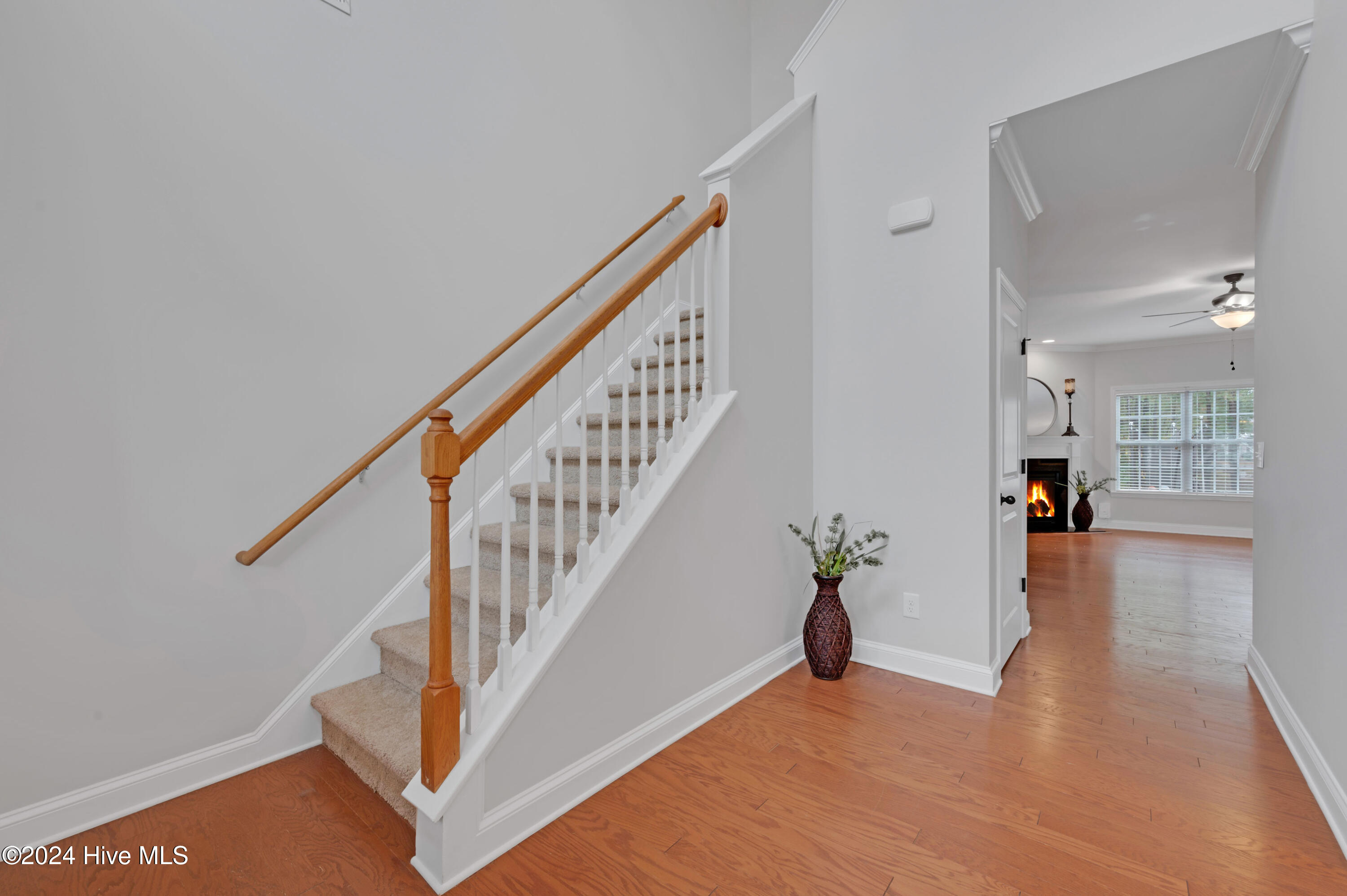 3628 Flora Drive