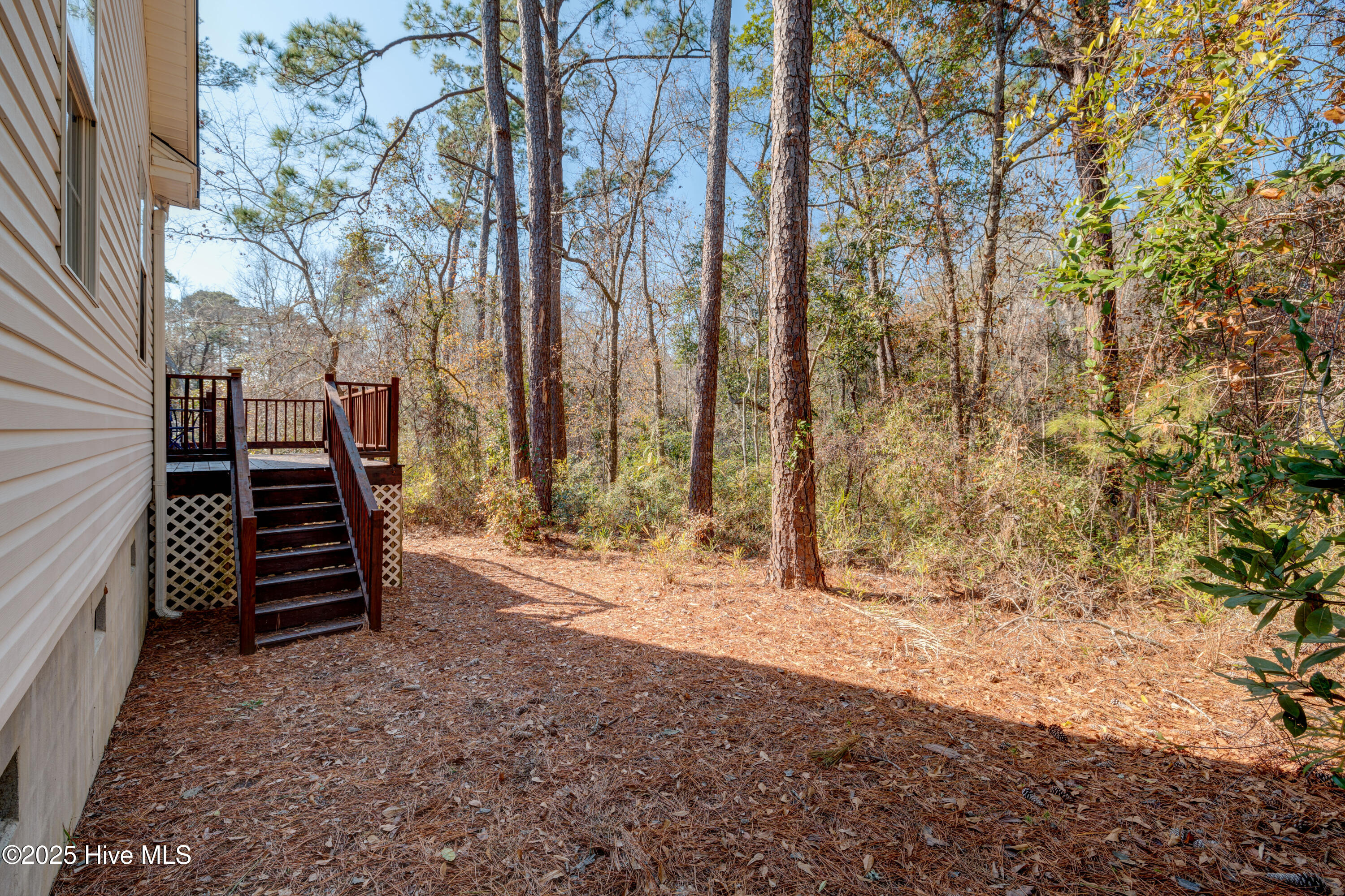 3832 Timber Stream Drive