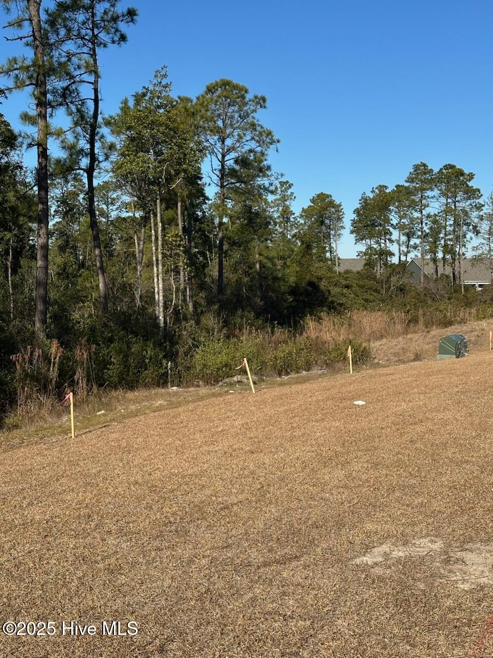 7643 Pennycress Drive 522