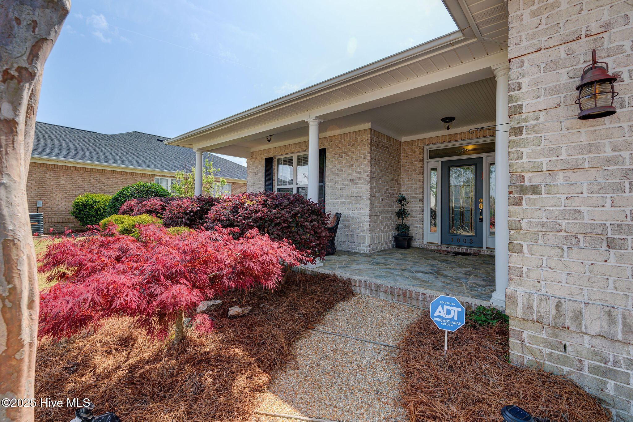 1003 Chalet Court