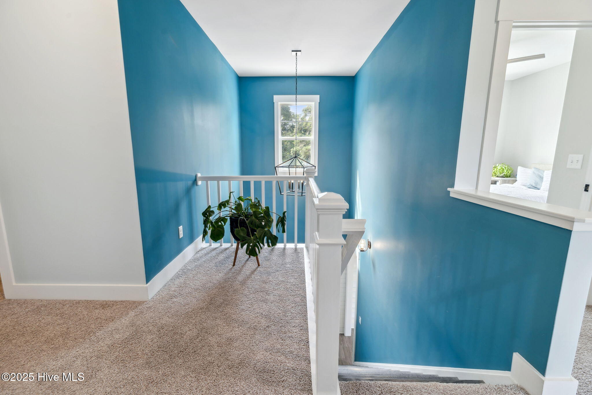 113 Darel Street