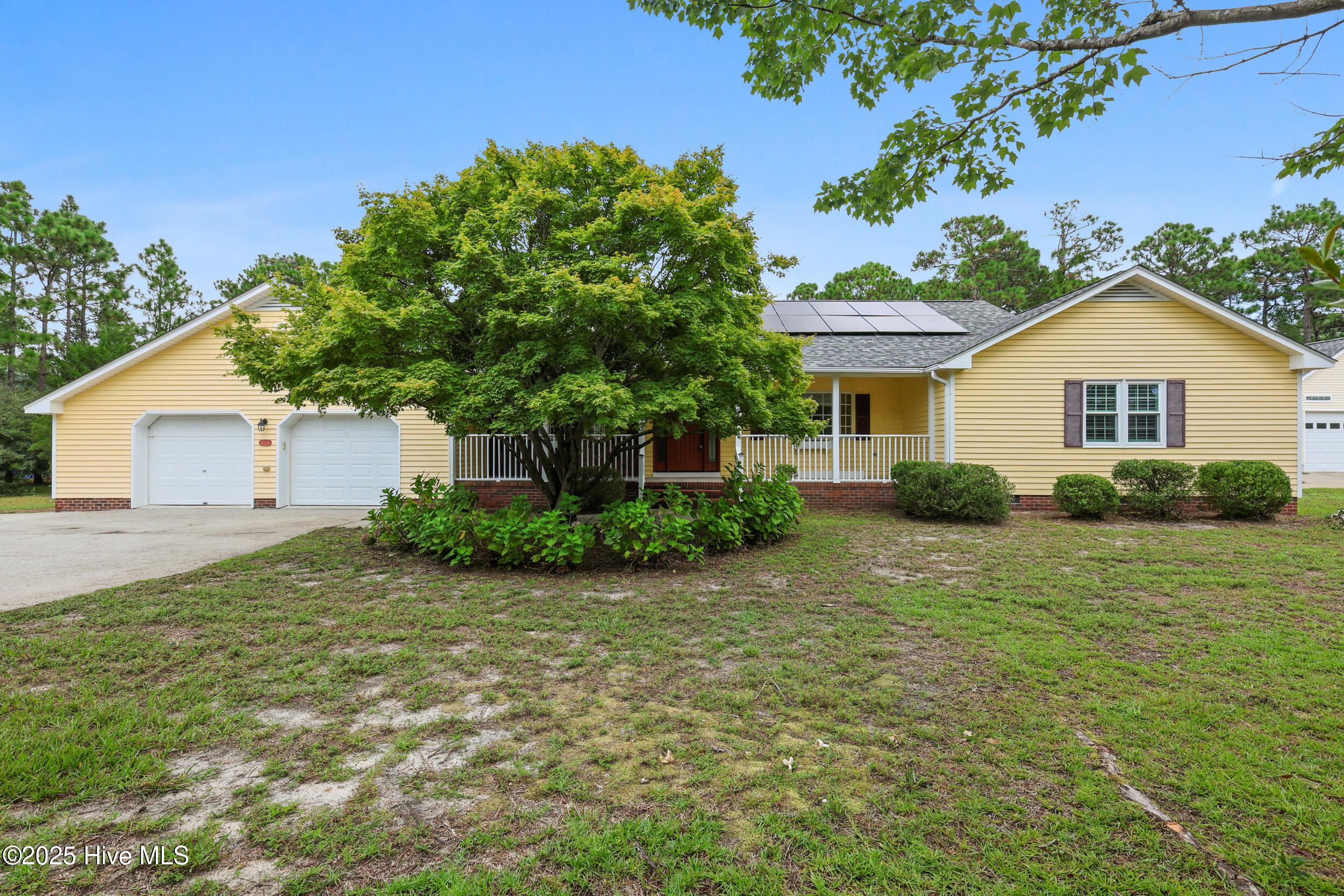 123 Royal Fern Road
