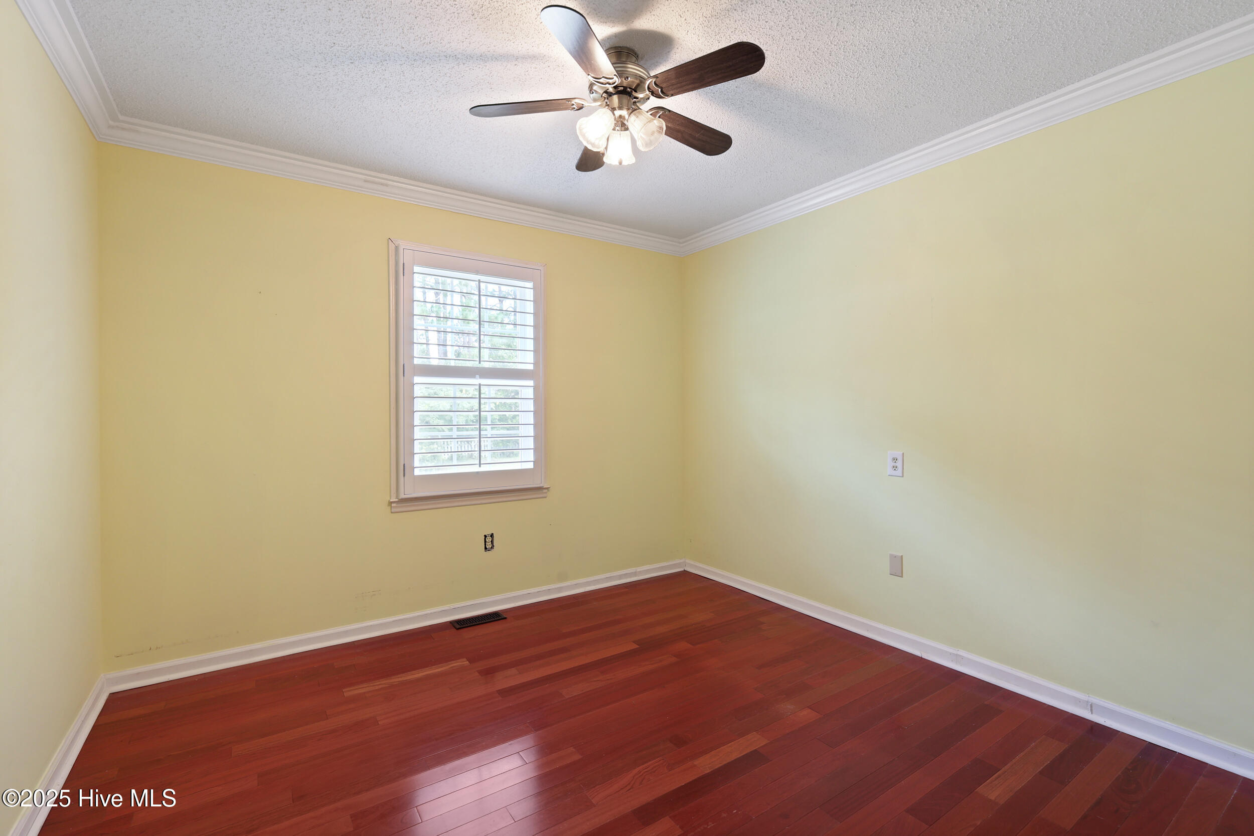 123 Royal Fern Road