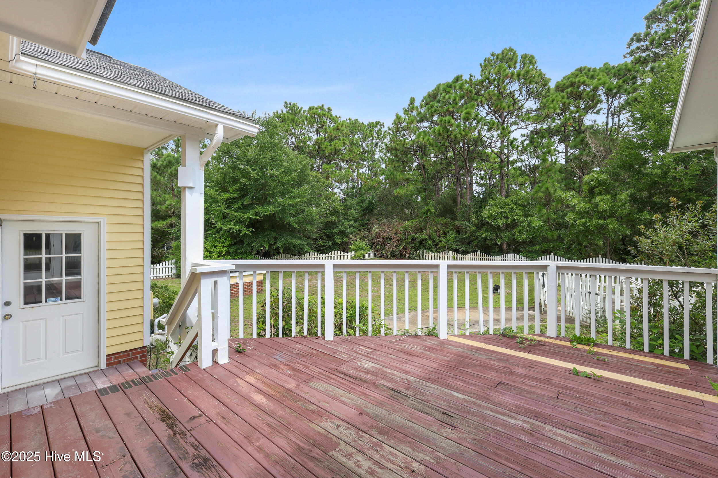 123 Royal Fern Road