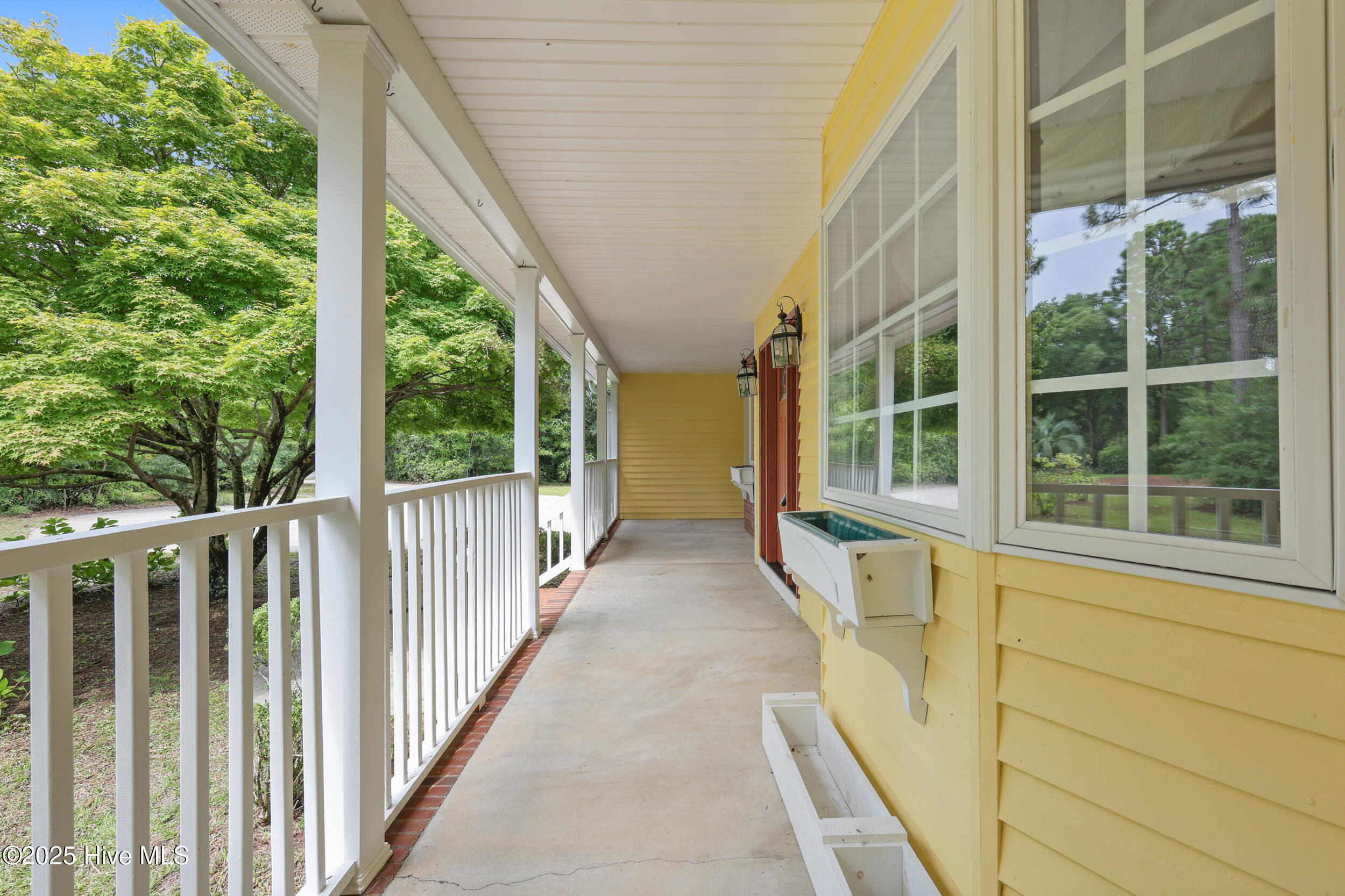 123 Royal Fern Road