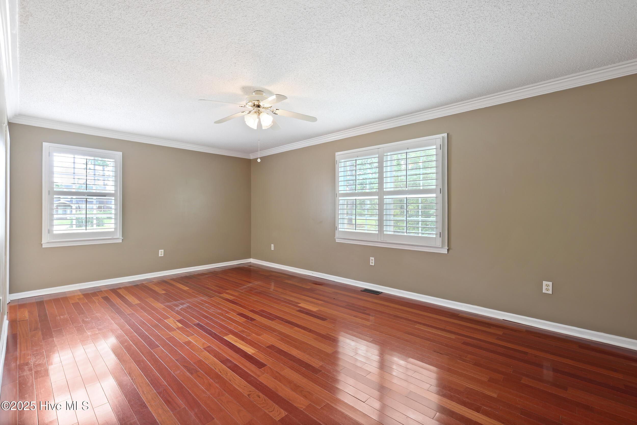123 Royal Fern Road