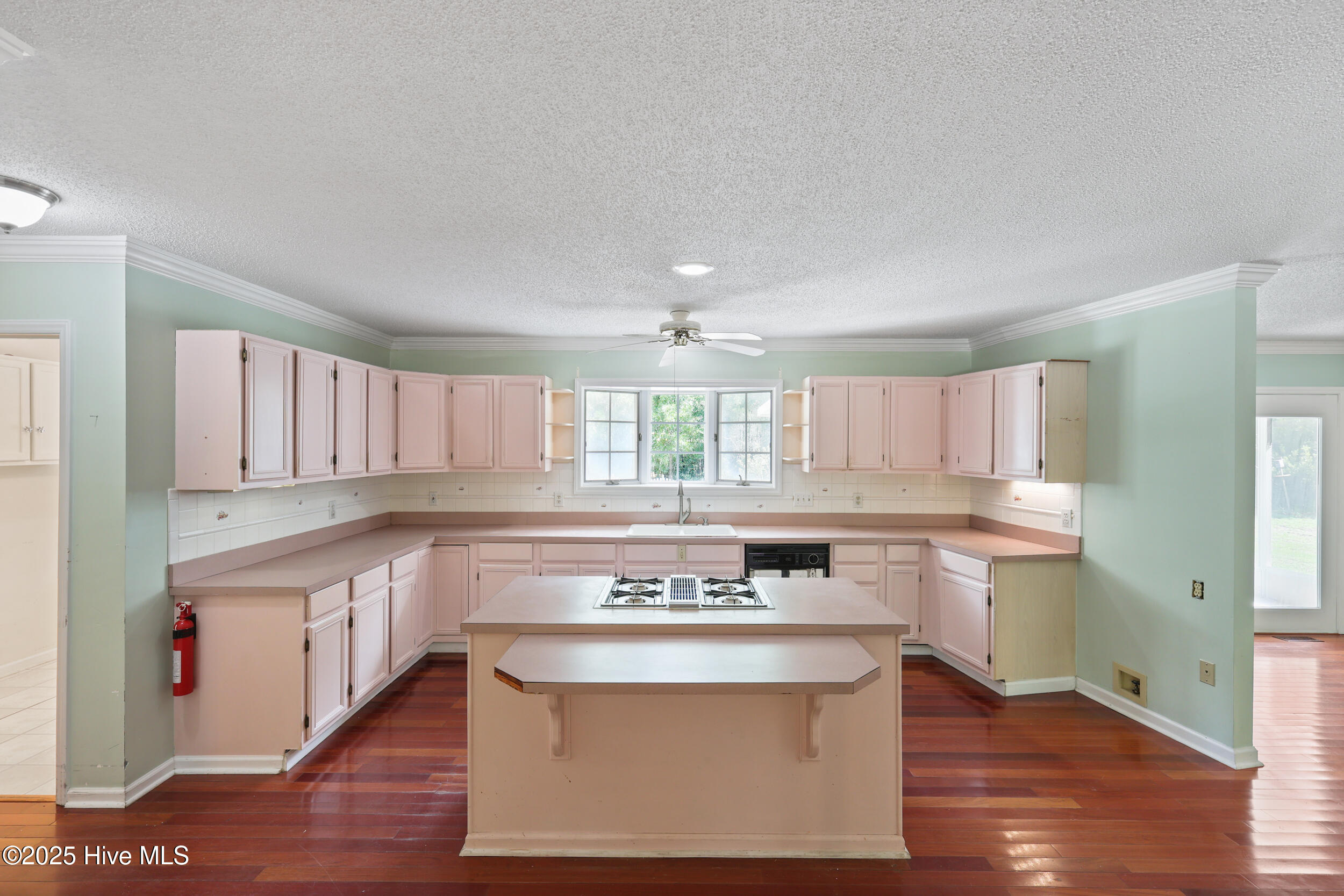123 Royal Fern Road