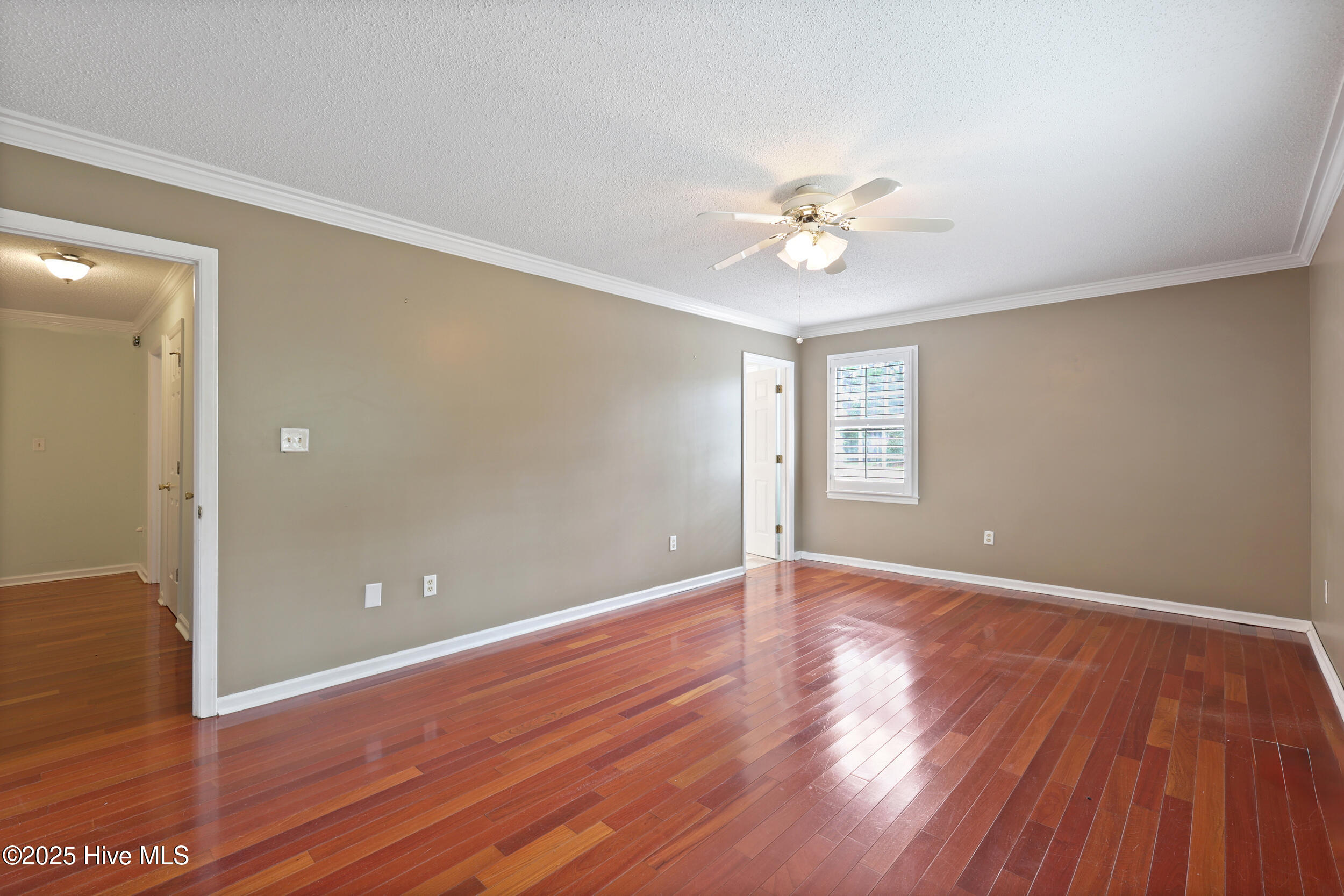 123 Royal Fern Road