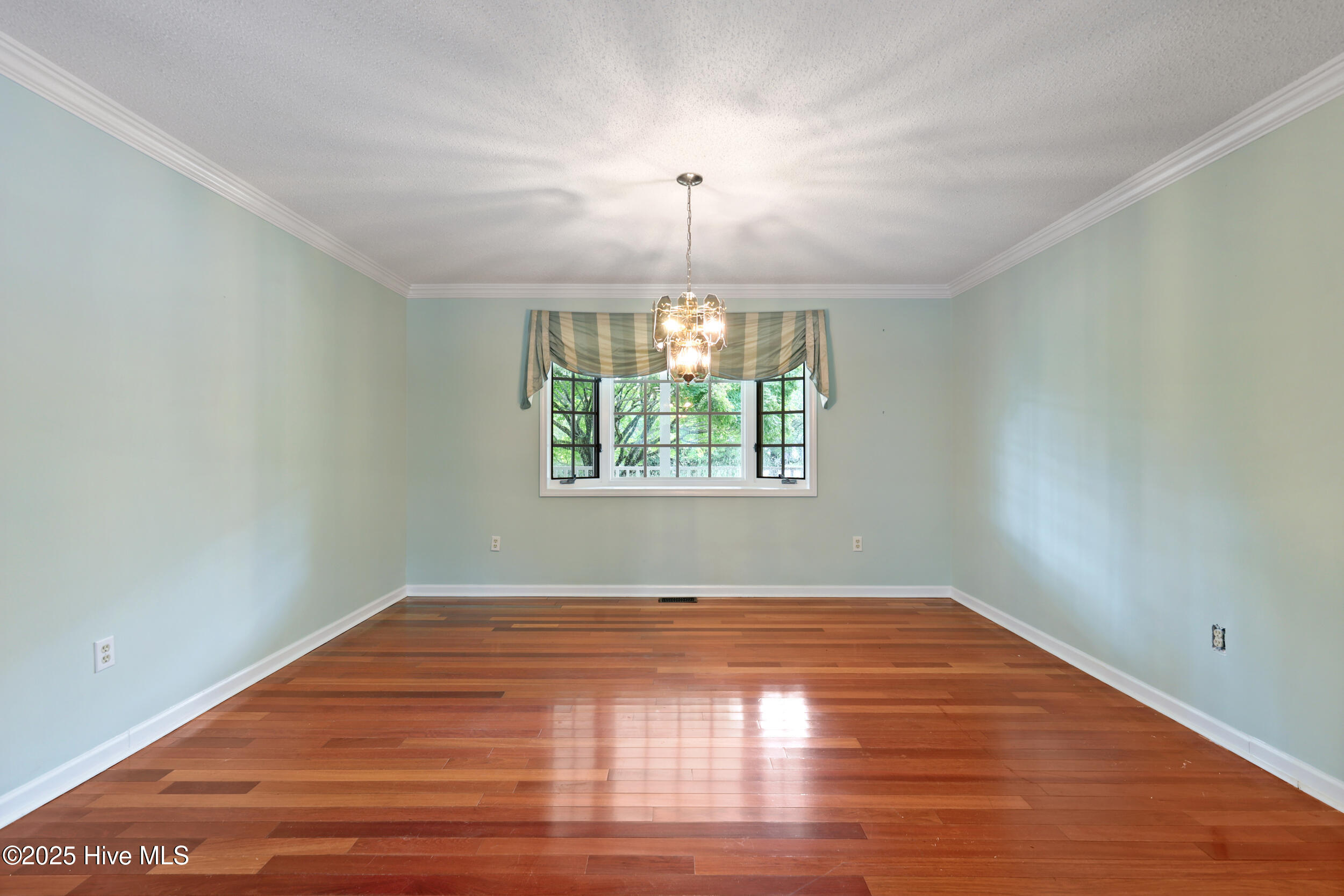 123 Royal Fern Road