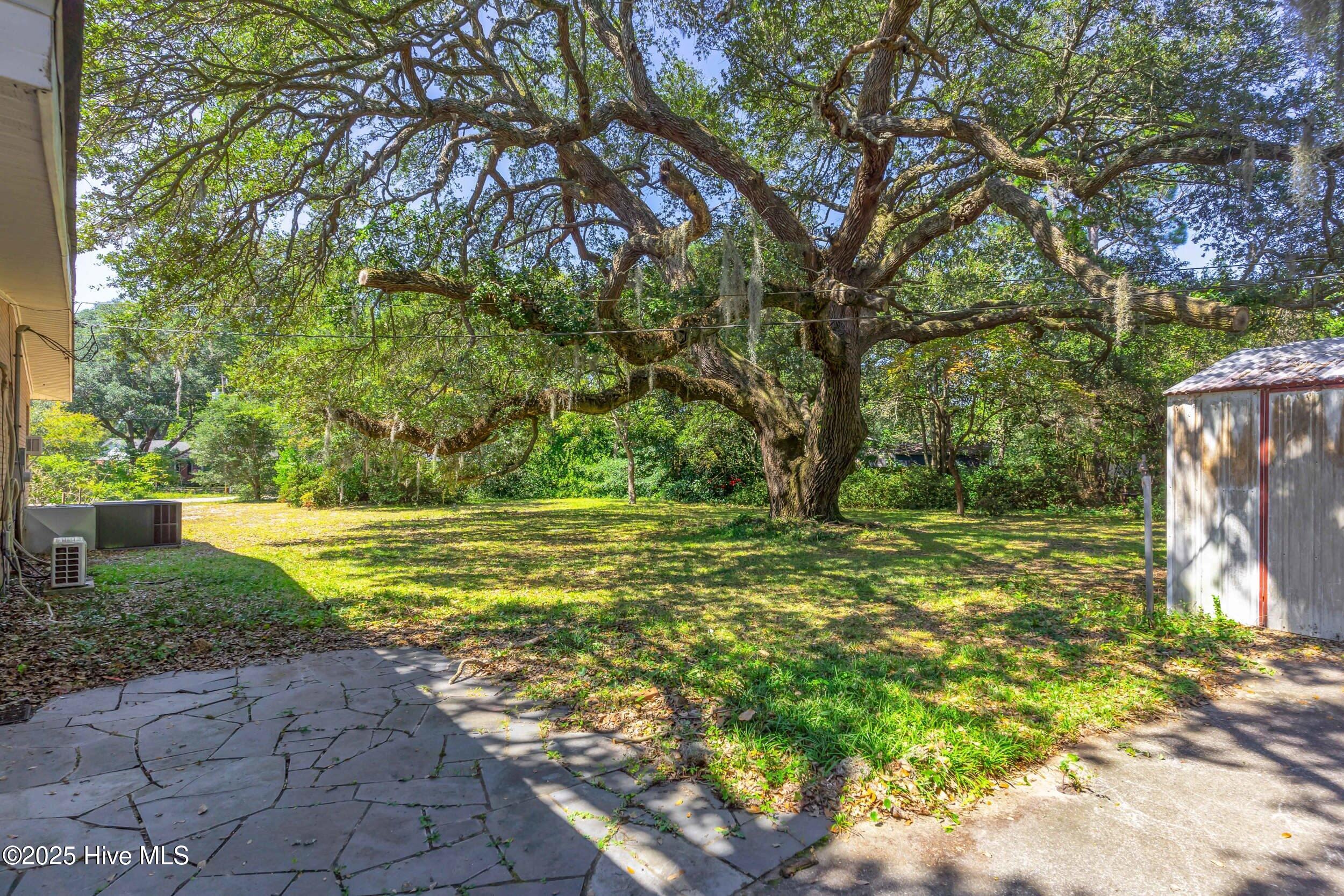 342 Pine Valley Drive