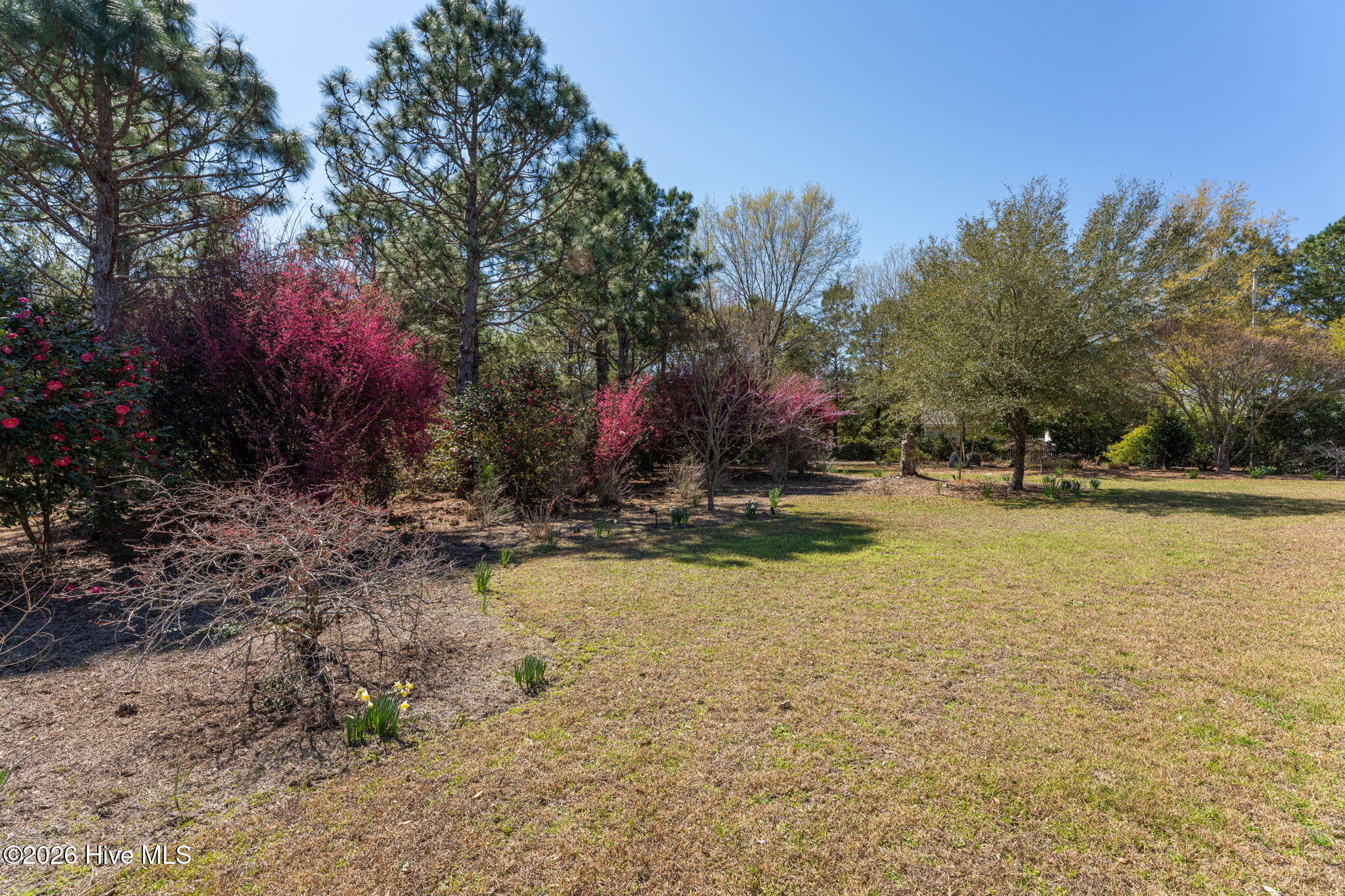 2689 Sloop Point Loop Road
