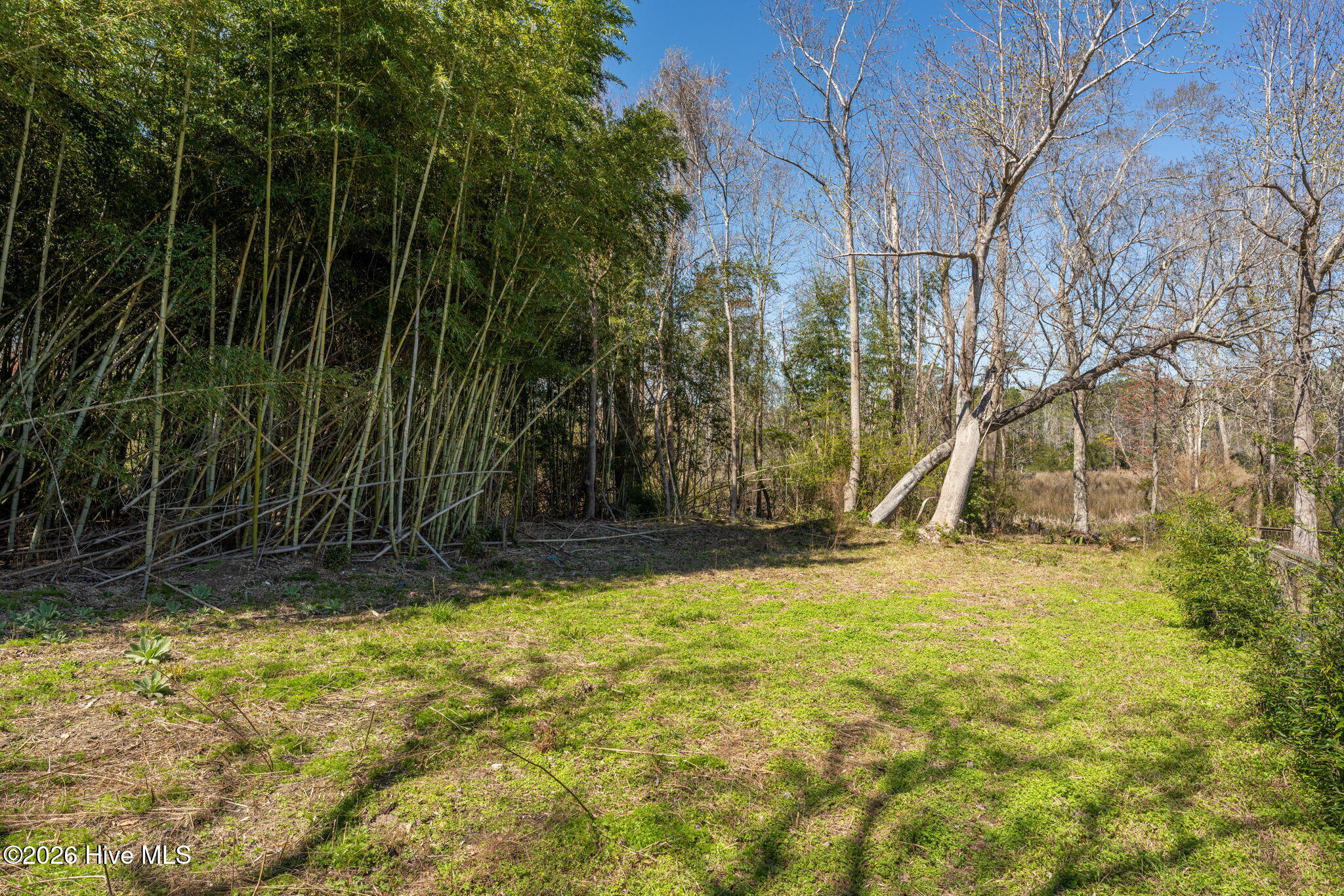 2689 Sloop Point Loop Road